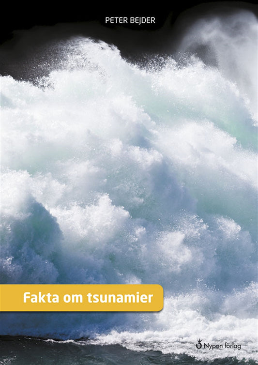 Fakta om tsunamier – E-bok