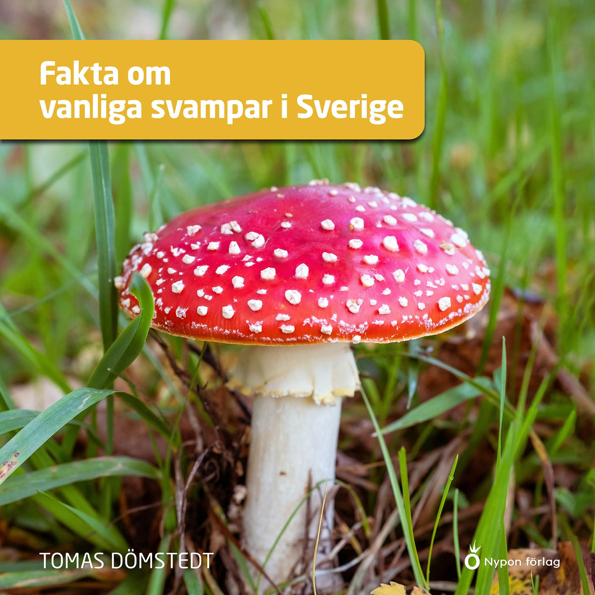 Fakta om vanliga svampar i Sverige – Ljudbok