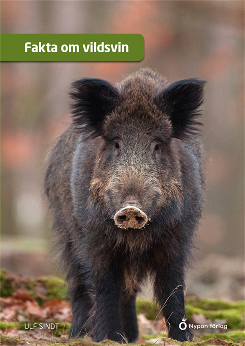 Fakta om vildsvin – Ljudbok