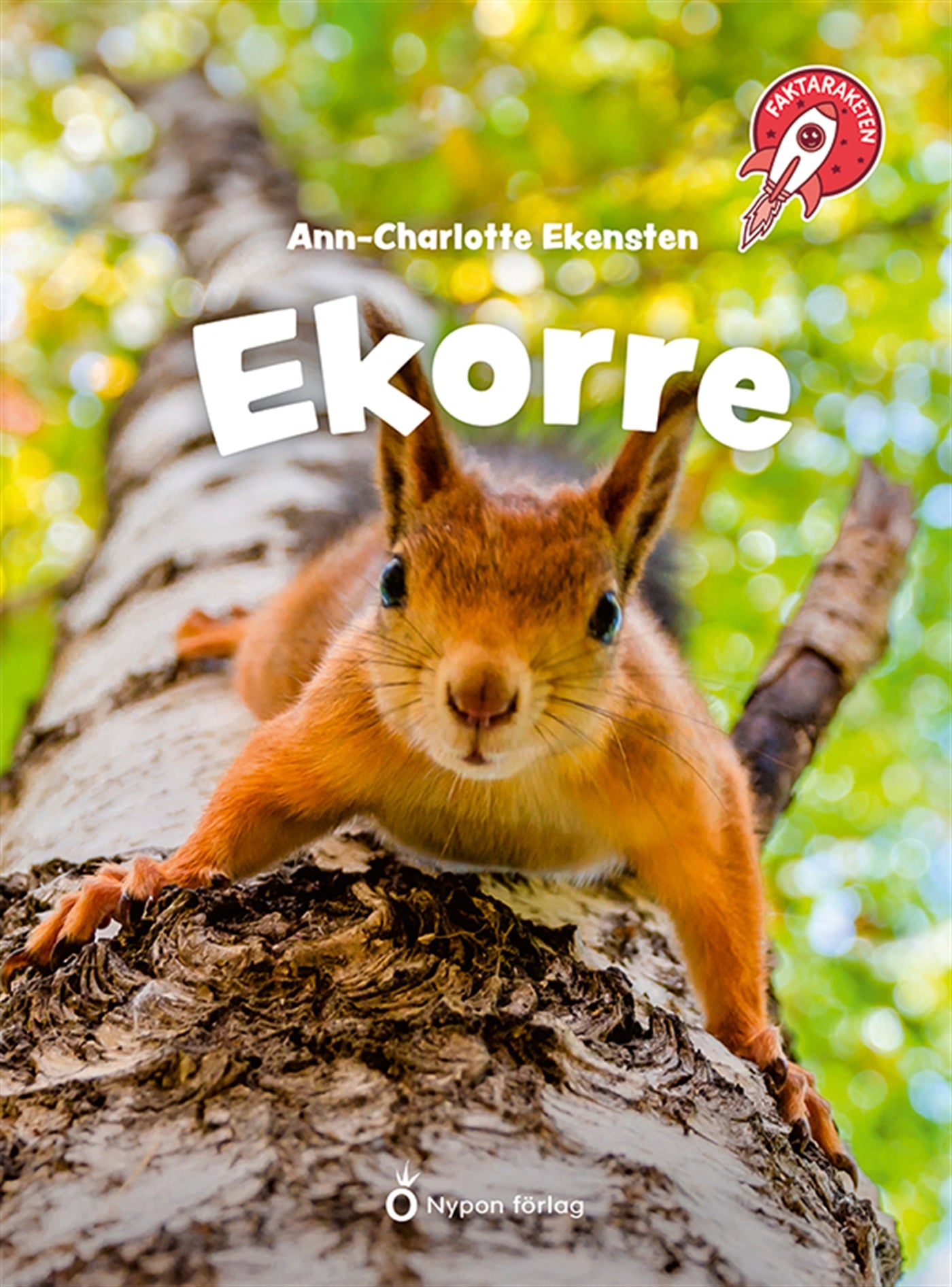 Faktaraketen - Ekorre – E-bok