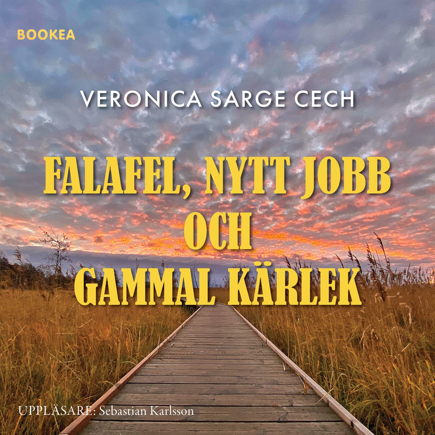 Falafel, nytt jobb och gammal kärlek – Ljudbok