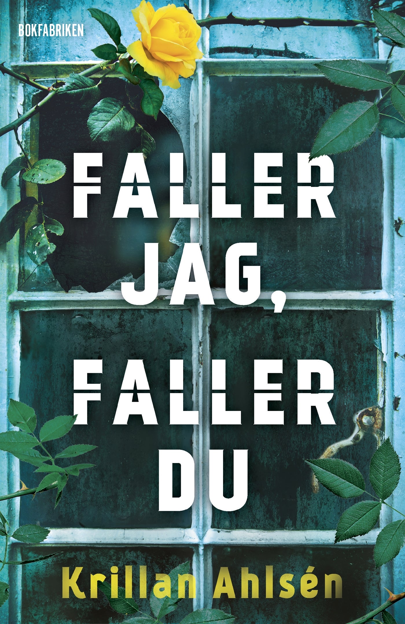 Faller jag faller du – E-bok