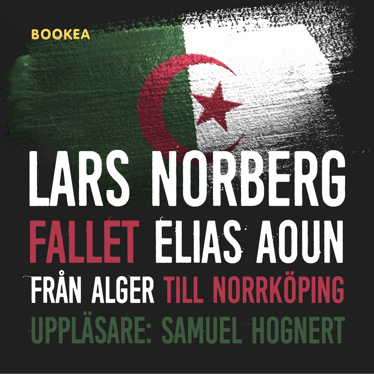 Fallet Elias Aoun : från Alger till Norrköping – Ljudbok