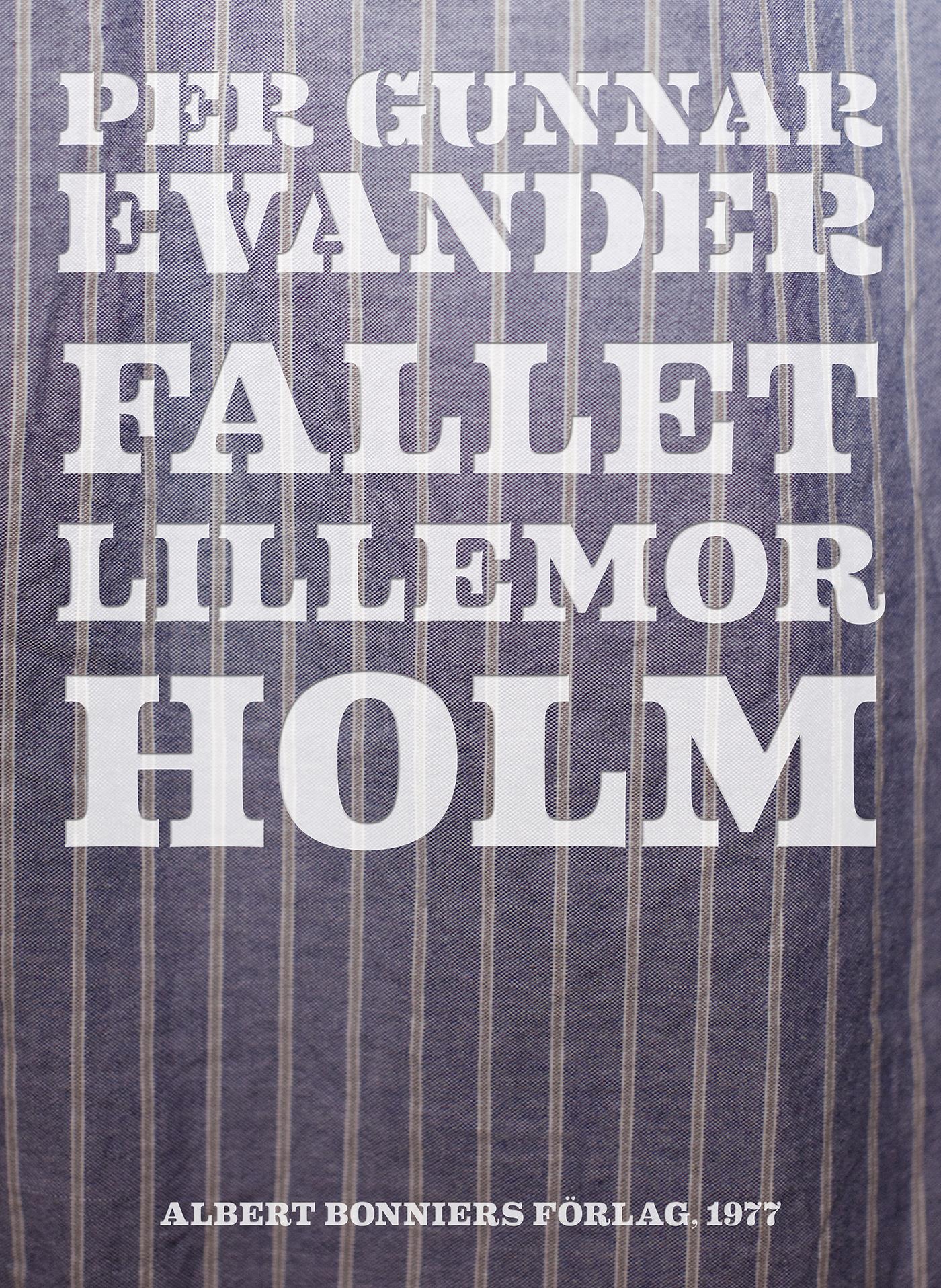 Fallet Lillemor Holm – E-bok