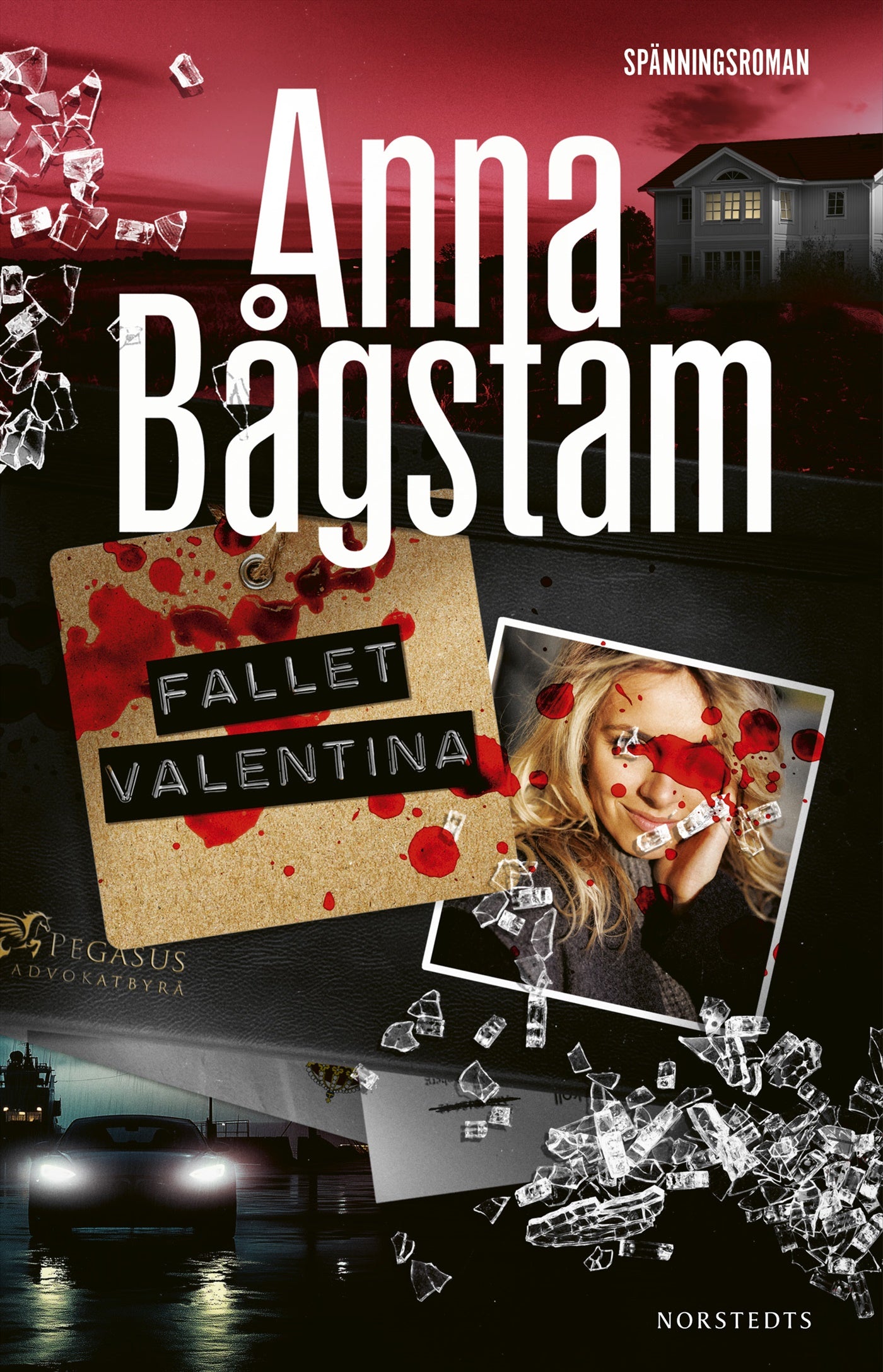 Fallet Valentina – E-bok