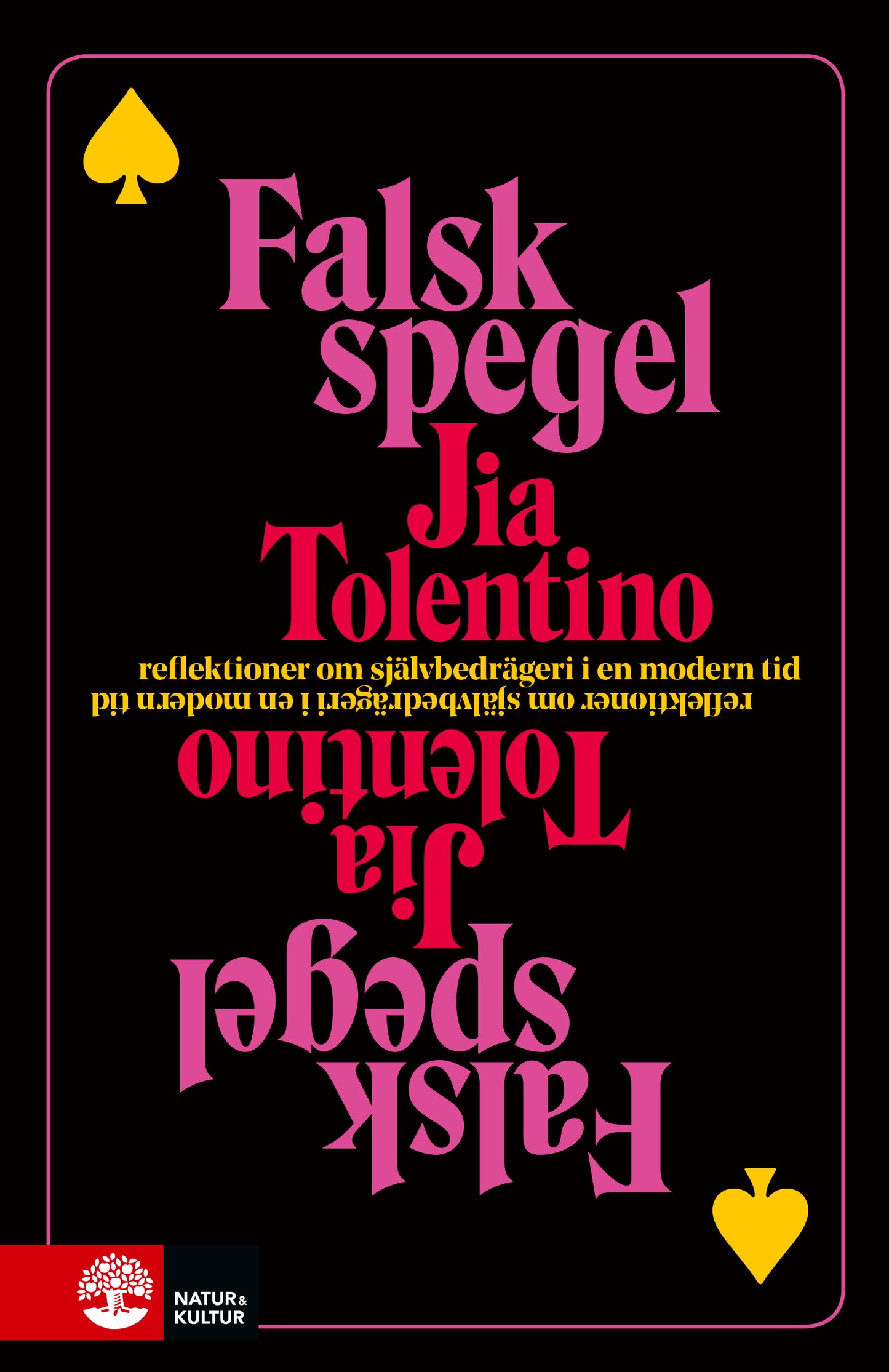 Falsk spegel : reflektioner om självbedrägeri i en modern tid – E-bok