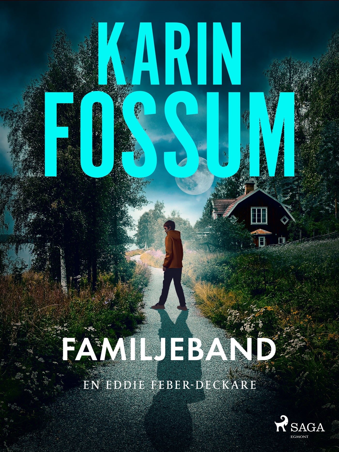 Familjeband – E-bok
