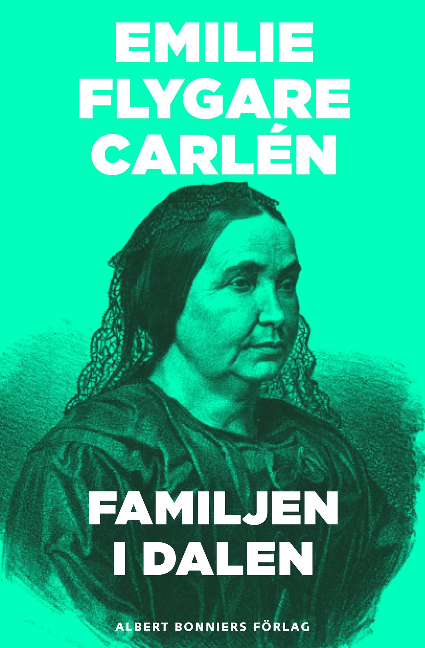 Familjen i dalen – E-bok