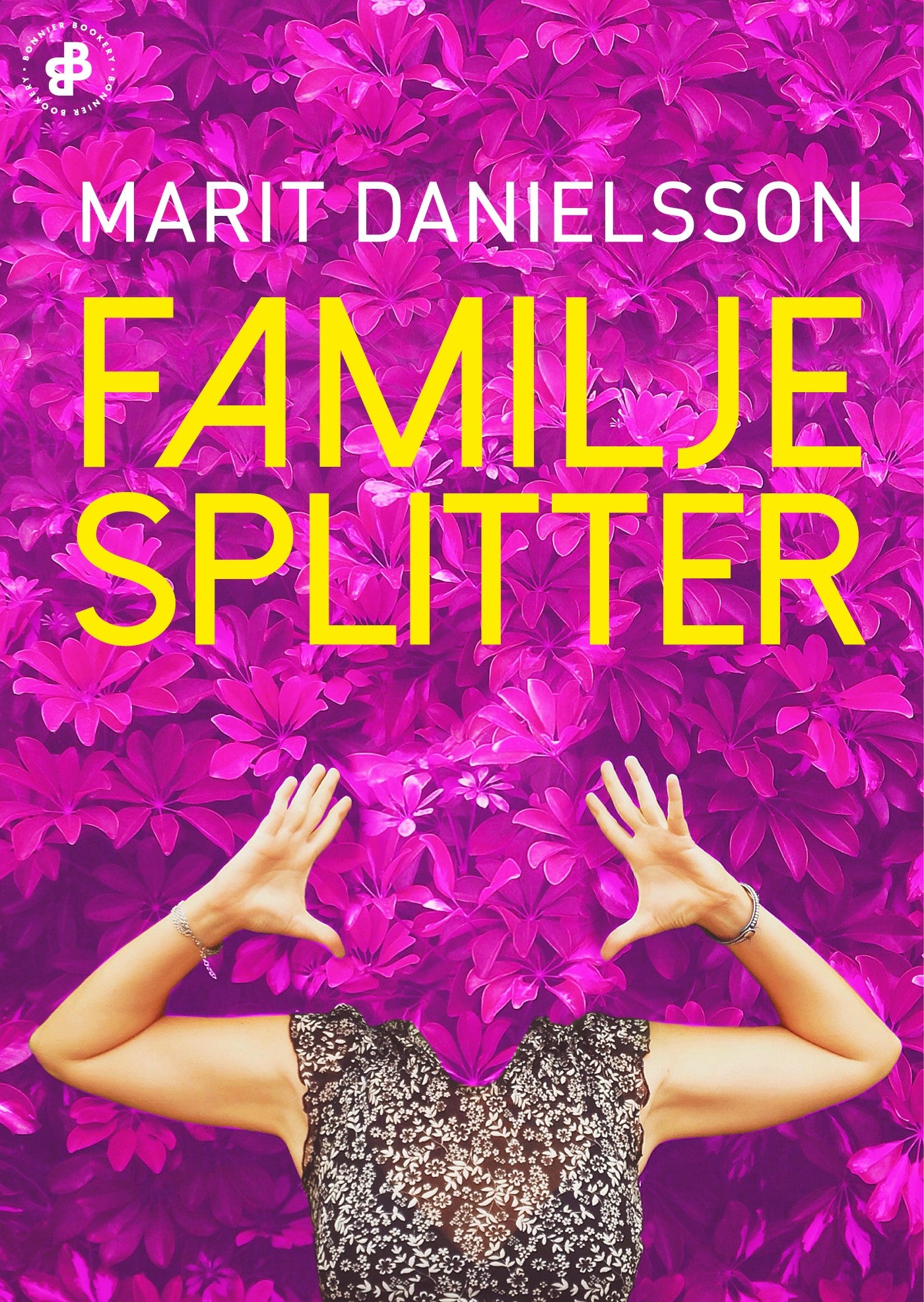 Familjesplitter – E-bok