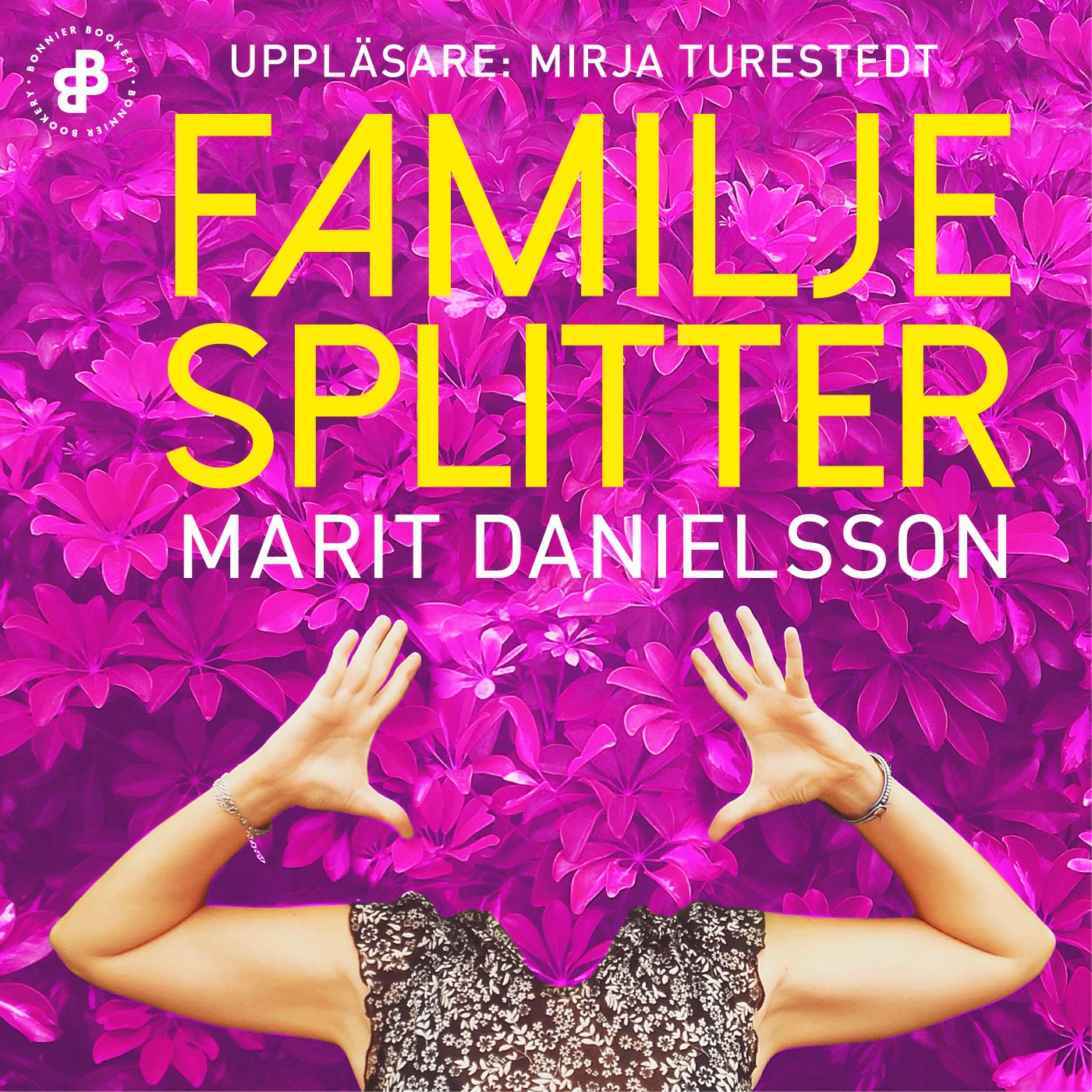 Familjesplitter – Ljudbok
