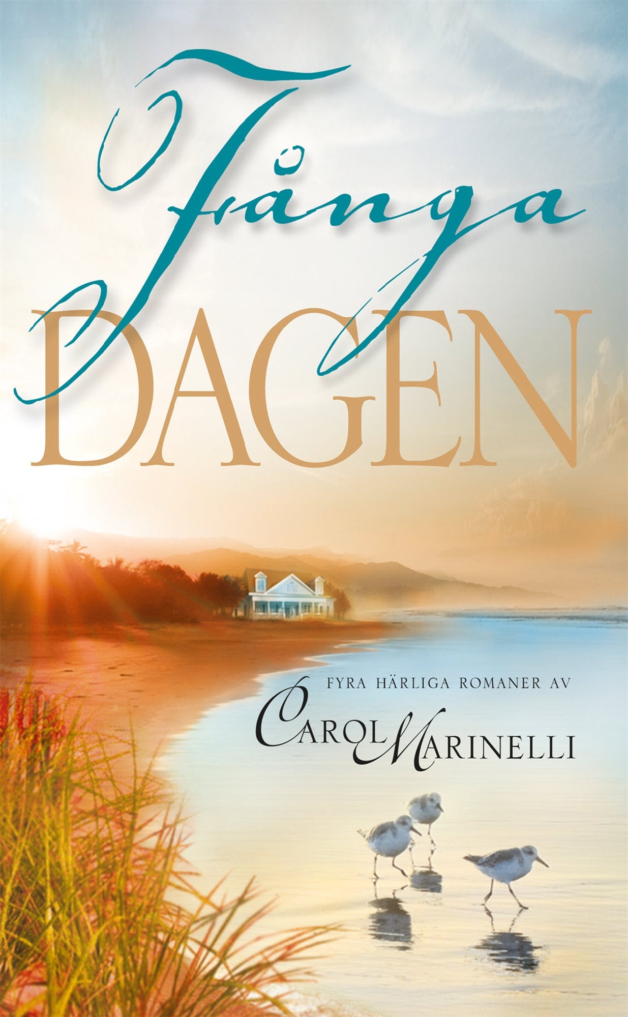 Fånga dagen – E-bok