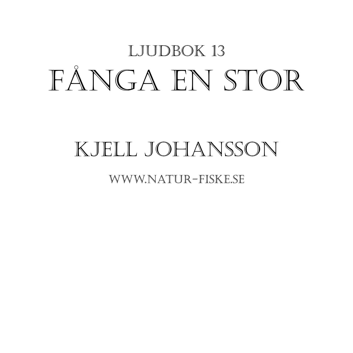 Fånga en Stor – Ljudbok