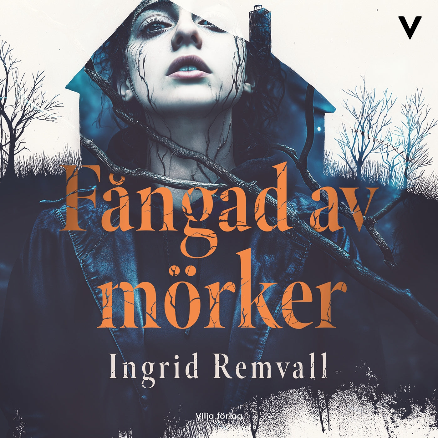 Fångad av mörker – Ljudbok