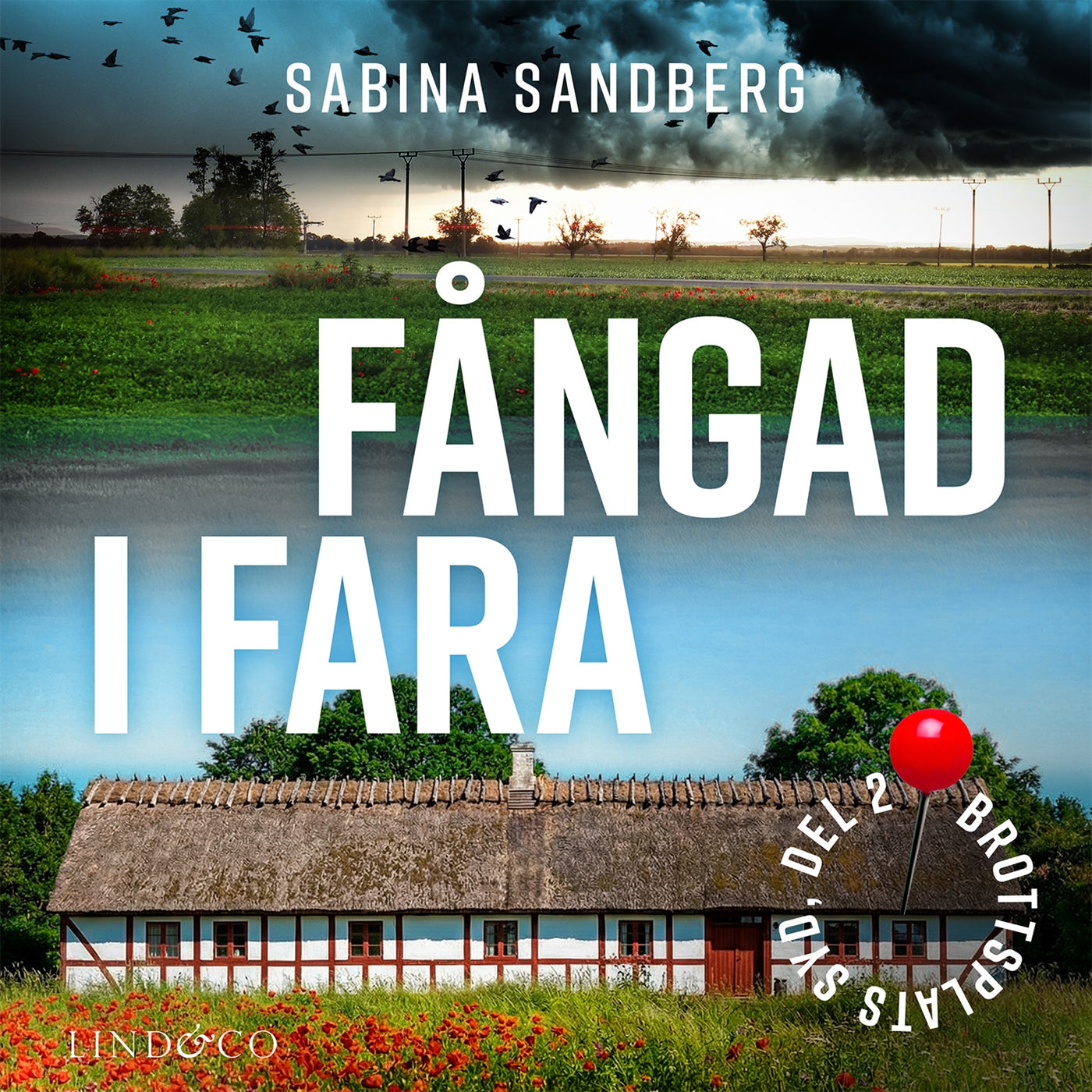 Fångad i fara – Ljudbok