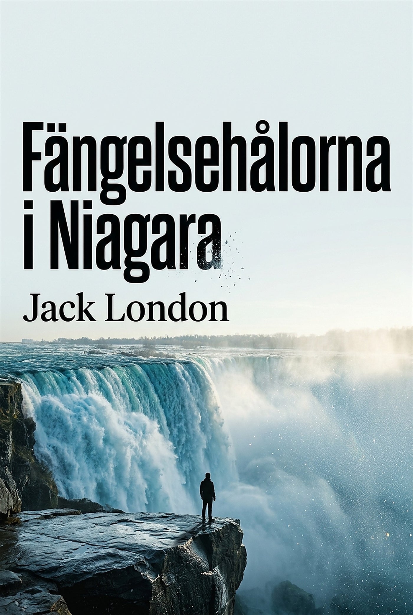 Fängelsehålorna i Niagara – E-bok