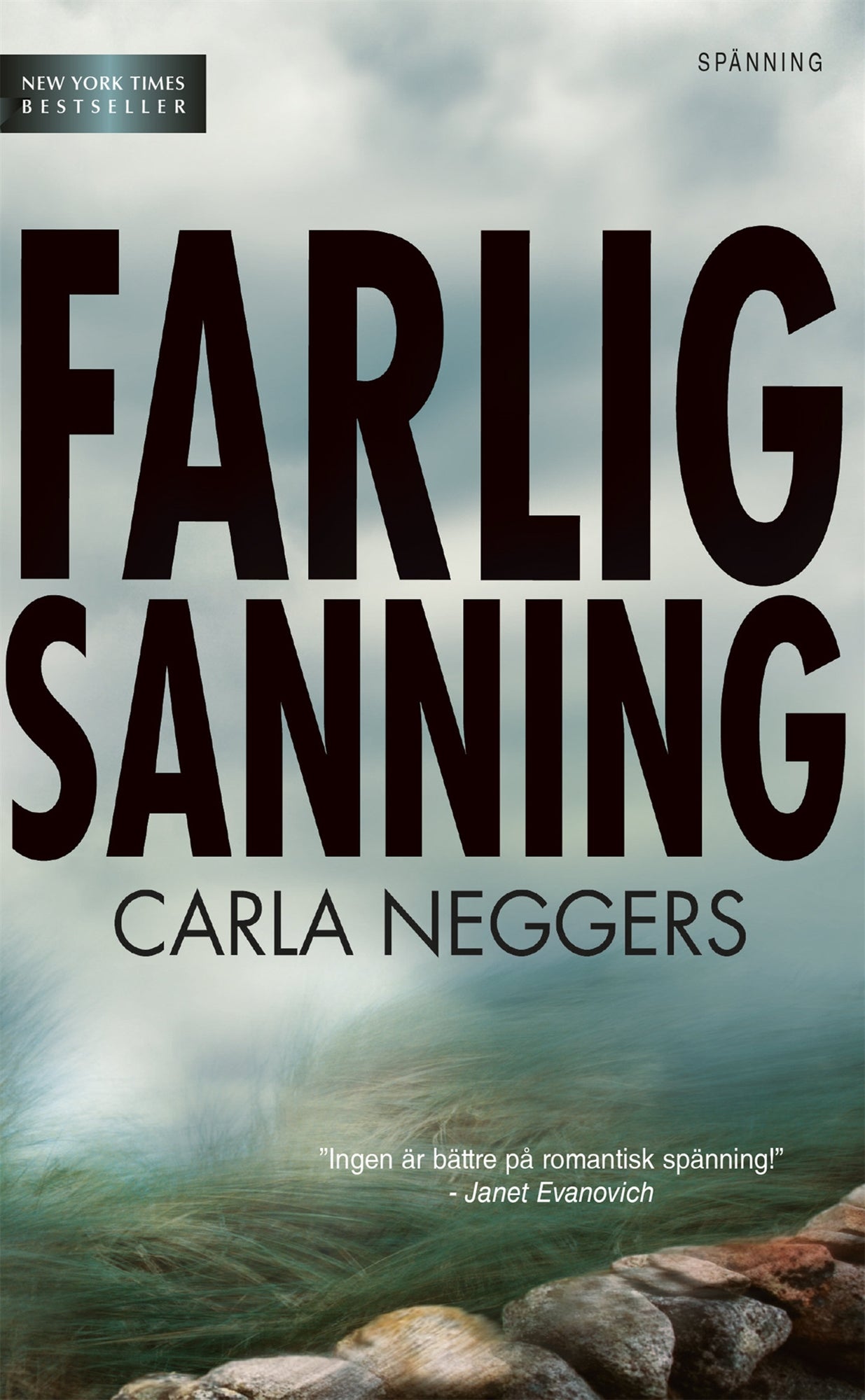 Farlig sanning – E-bok