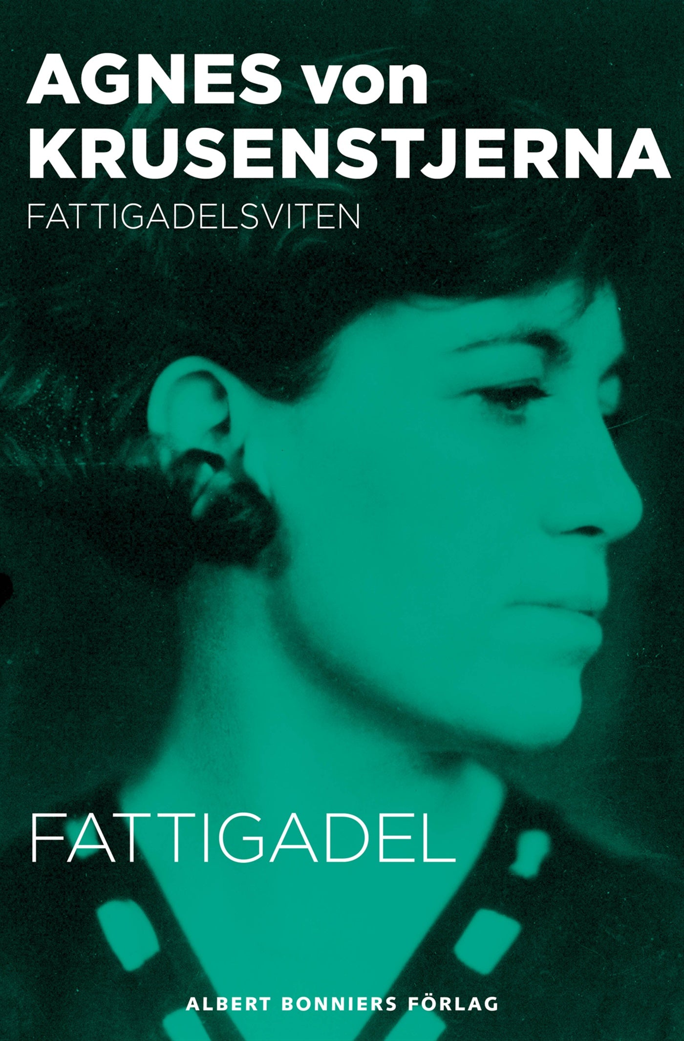 Fattigadel – E-bok
