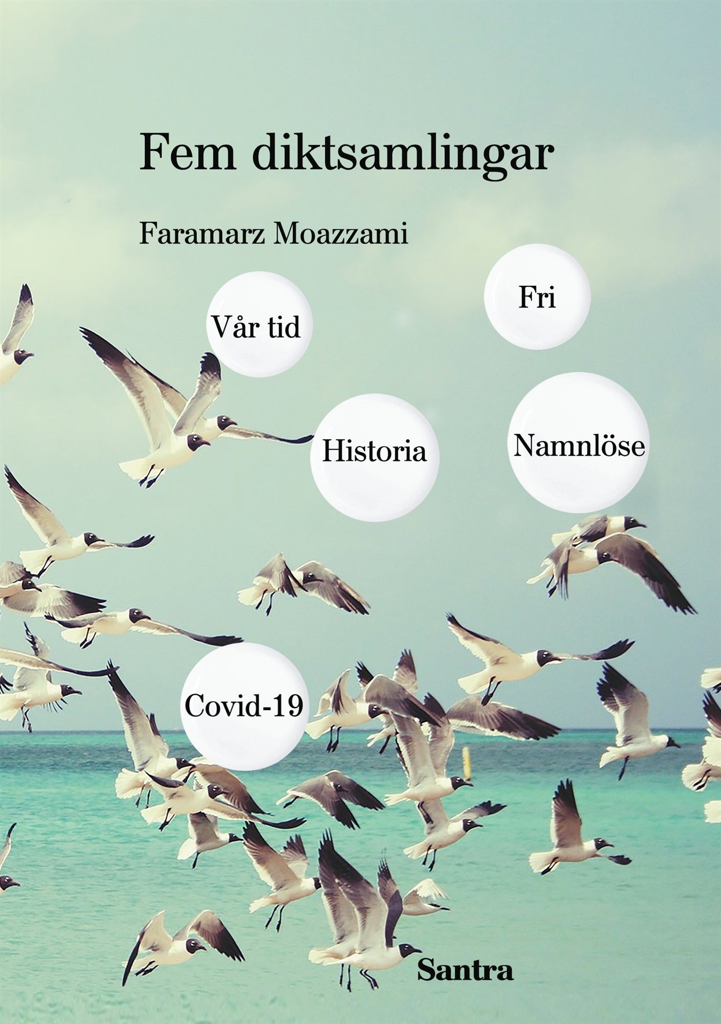 Fem diktsamlingar: Vår tid, Historia, Namnlöse, Covid 19 och Fri – E-bok