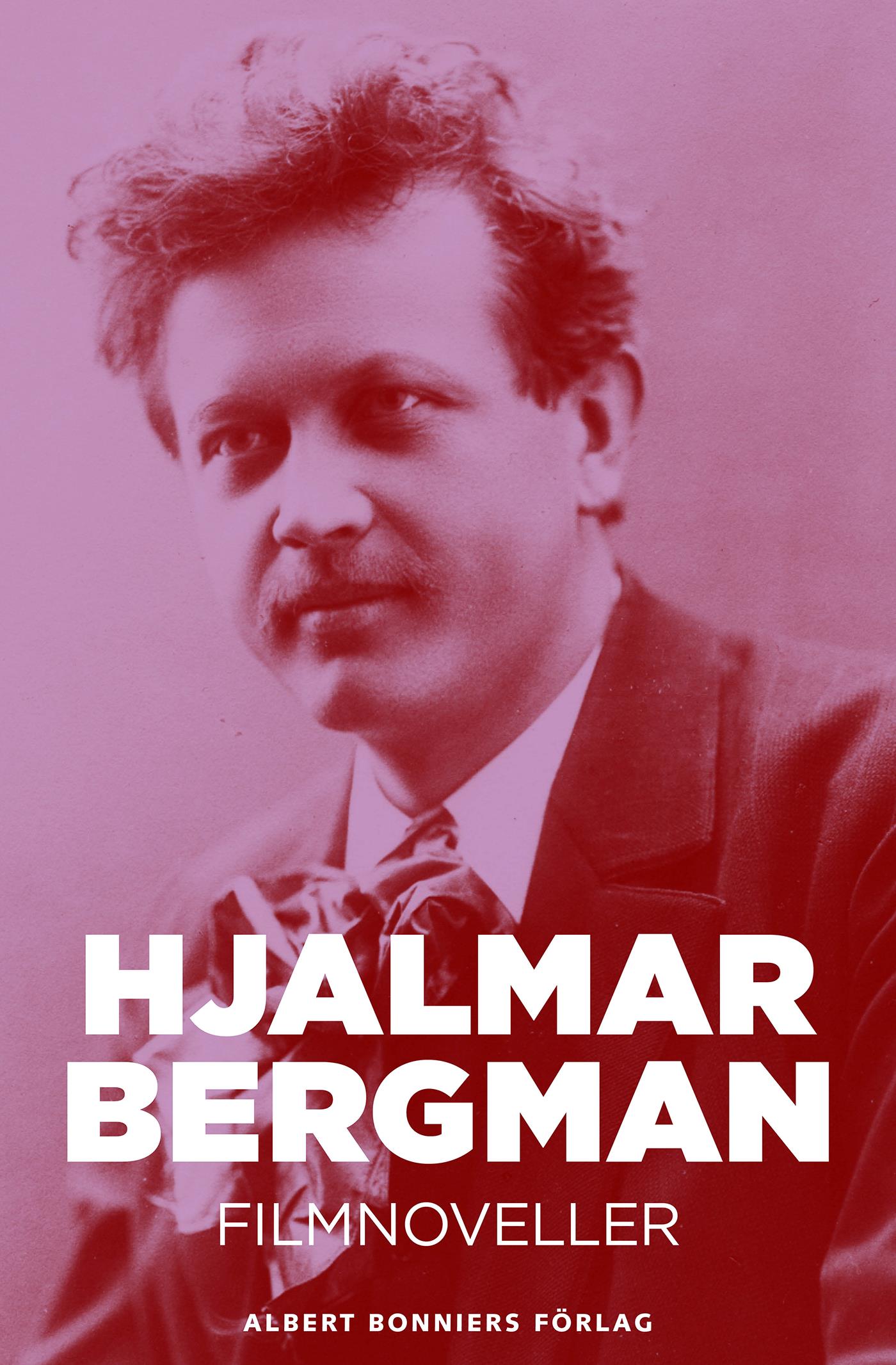 Filmnoveller – E-bok