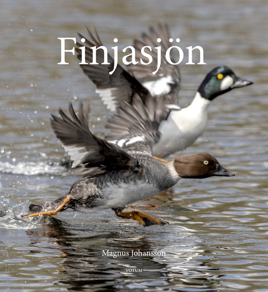 Finjasjön – E-bok