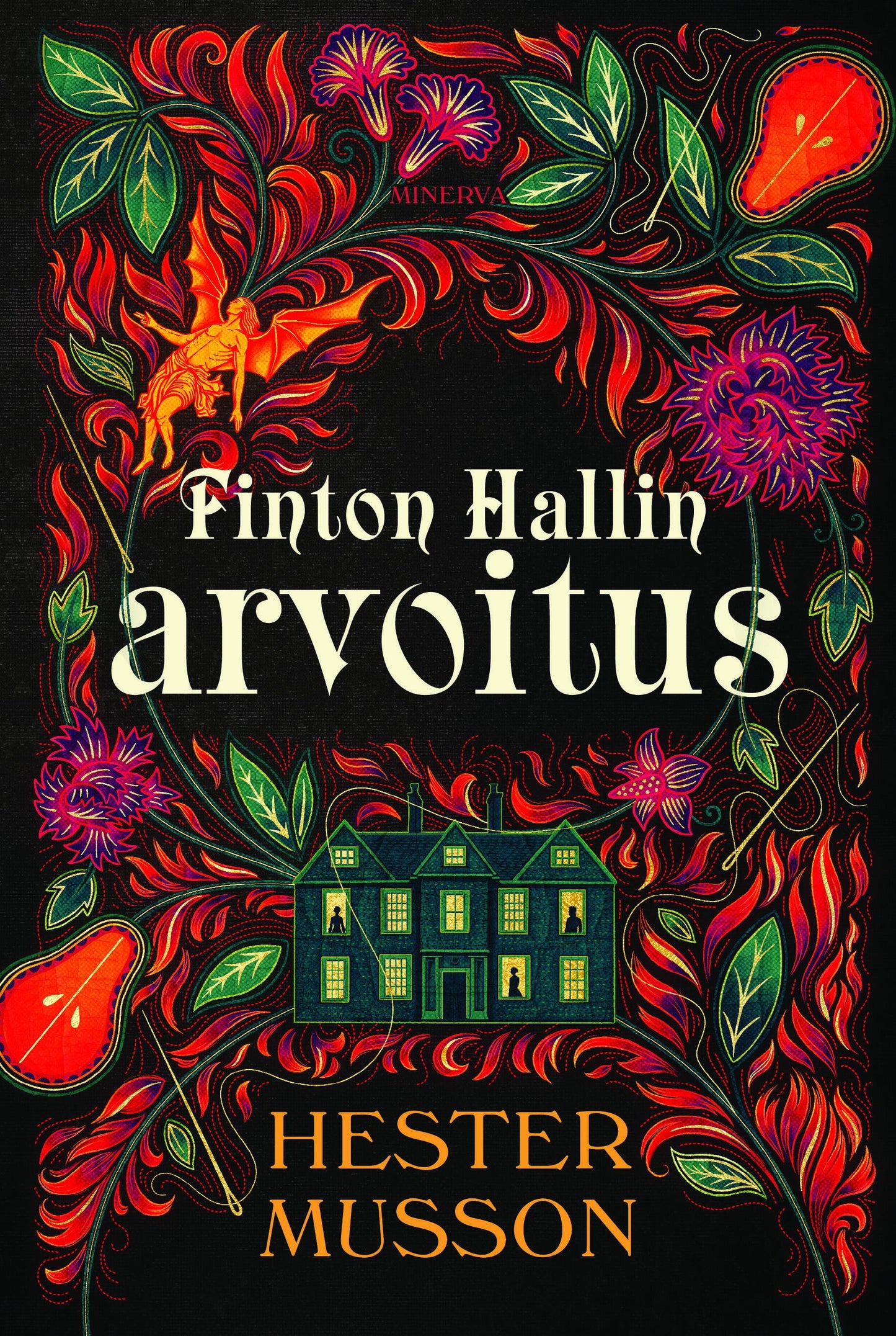 Finton Hallin arvoitus – E-bok