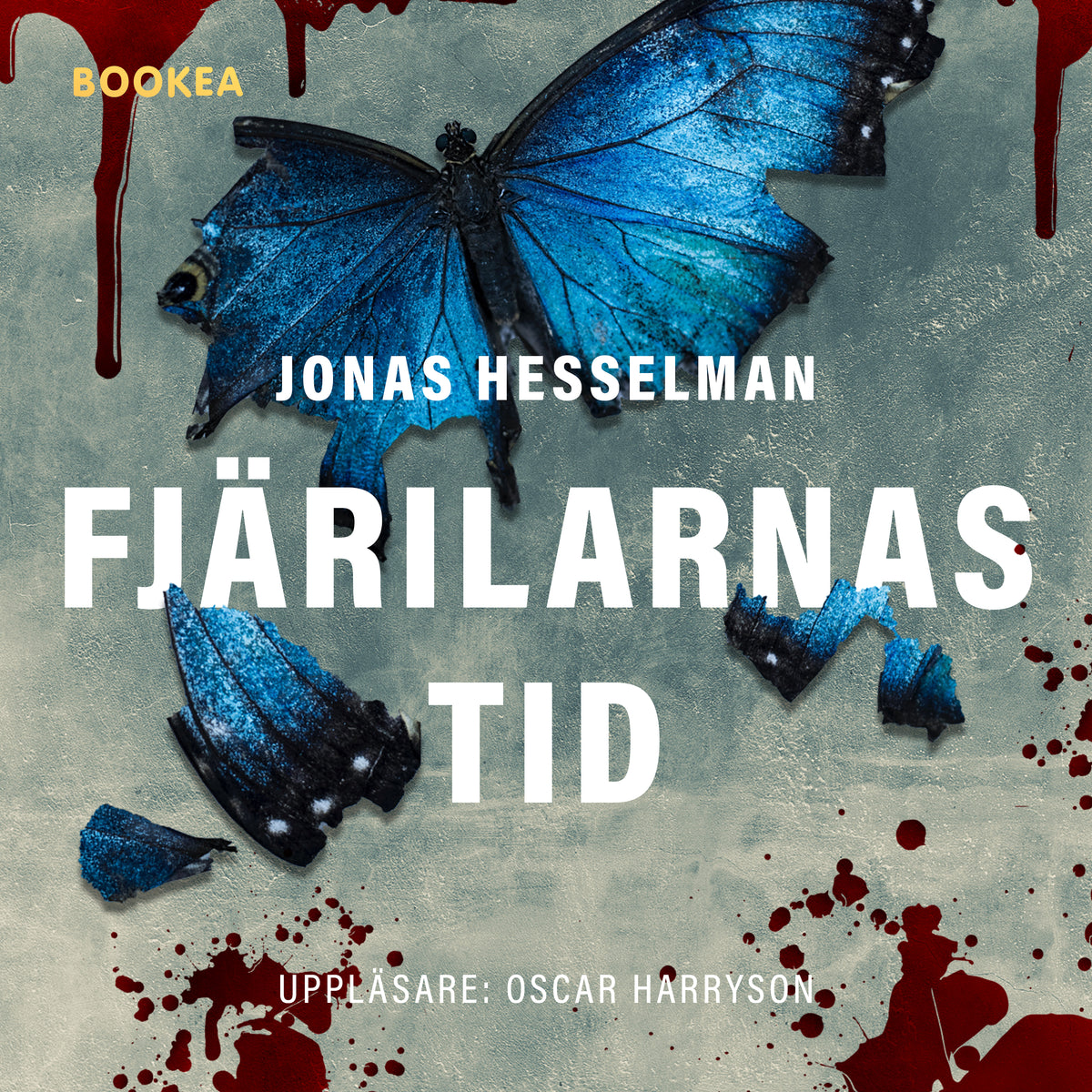 Fjärilarnas tid – Ljudbok
