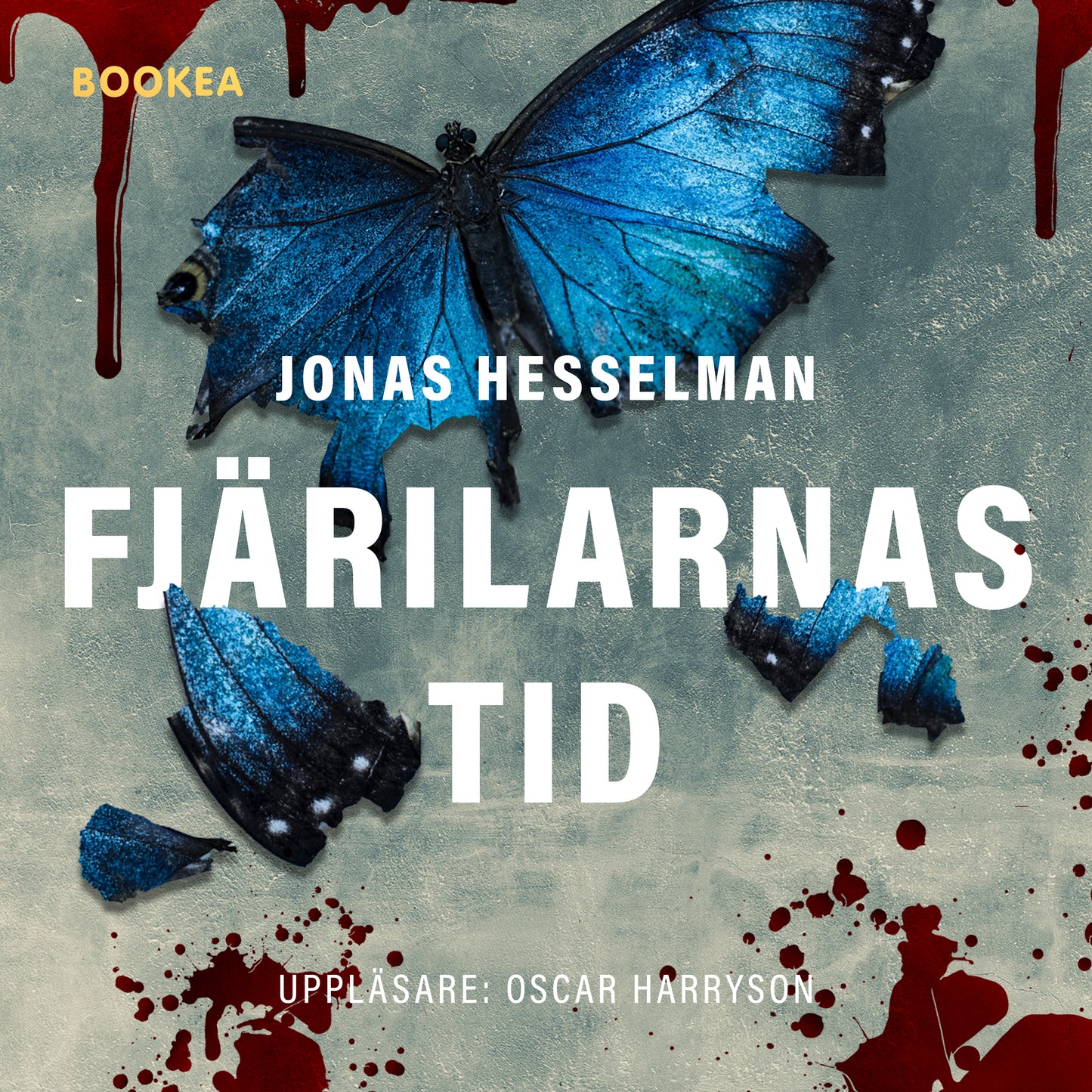 Fjärilarnas tid – Ljudbok