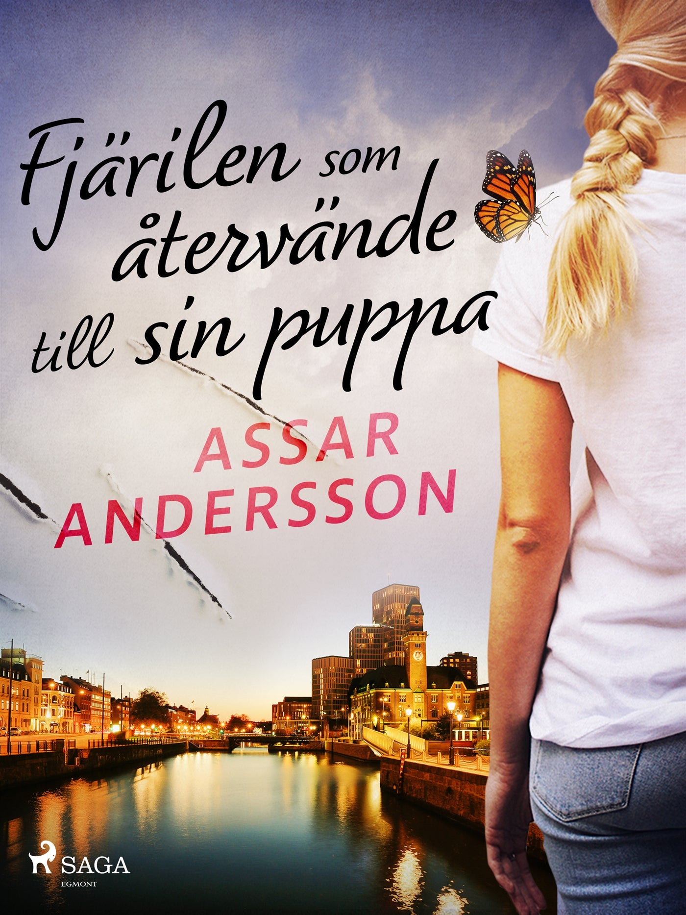 Fjärilen som återvände till sin puppa – E-bok