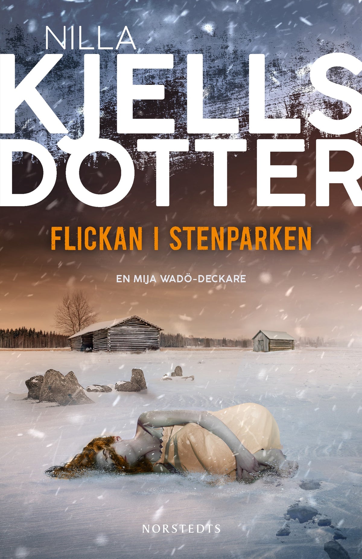 Flickan i Stenparken – E-bok