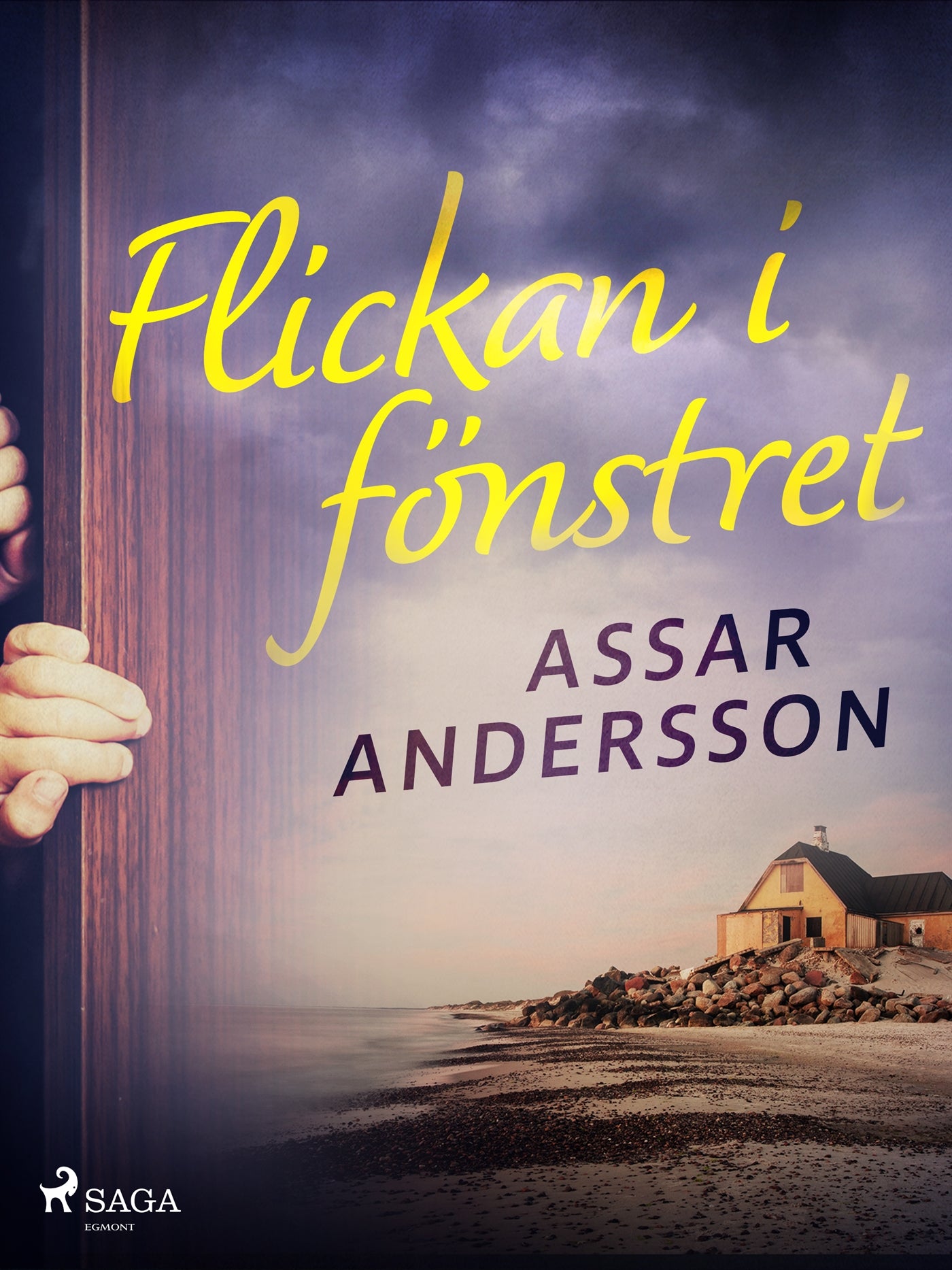 Flickan i fönstret – E-bok