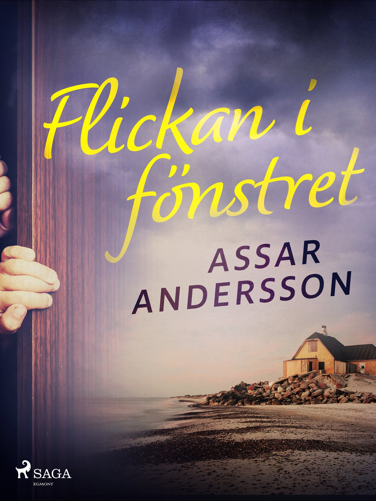Flickan i fönstret – E-bok