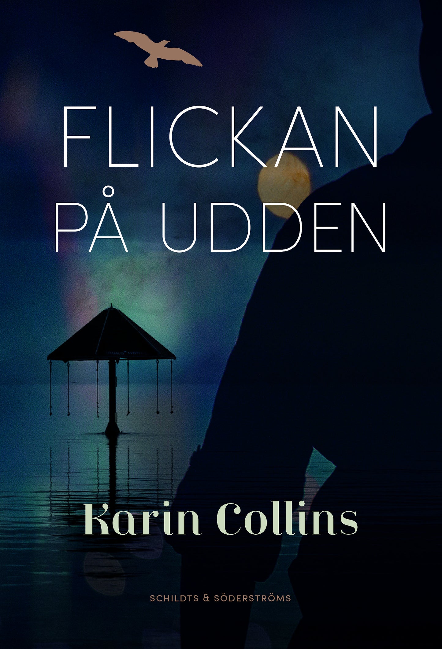 Flickan på udden – E-bok