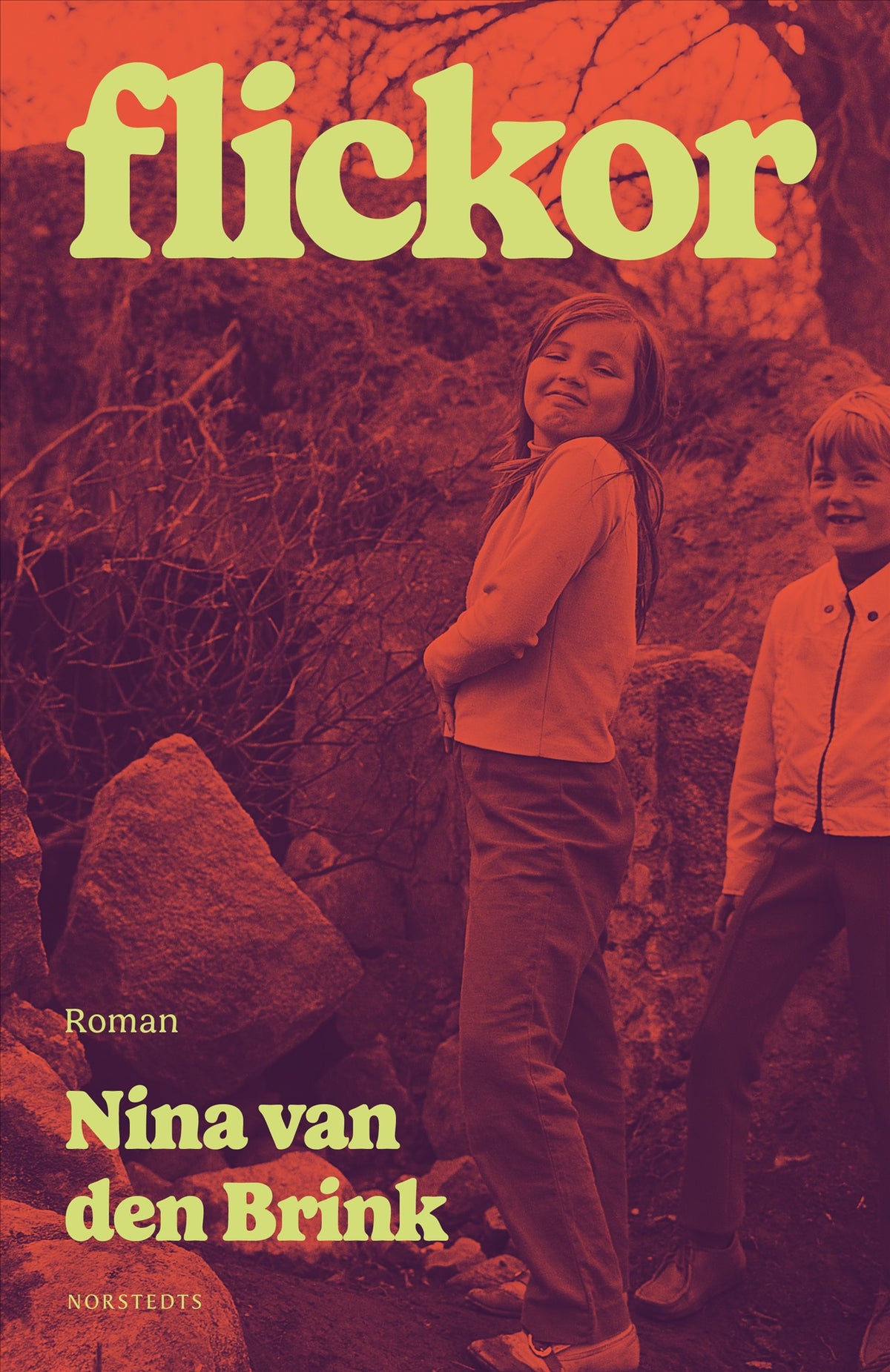 Flickor – E-bok