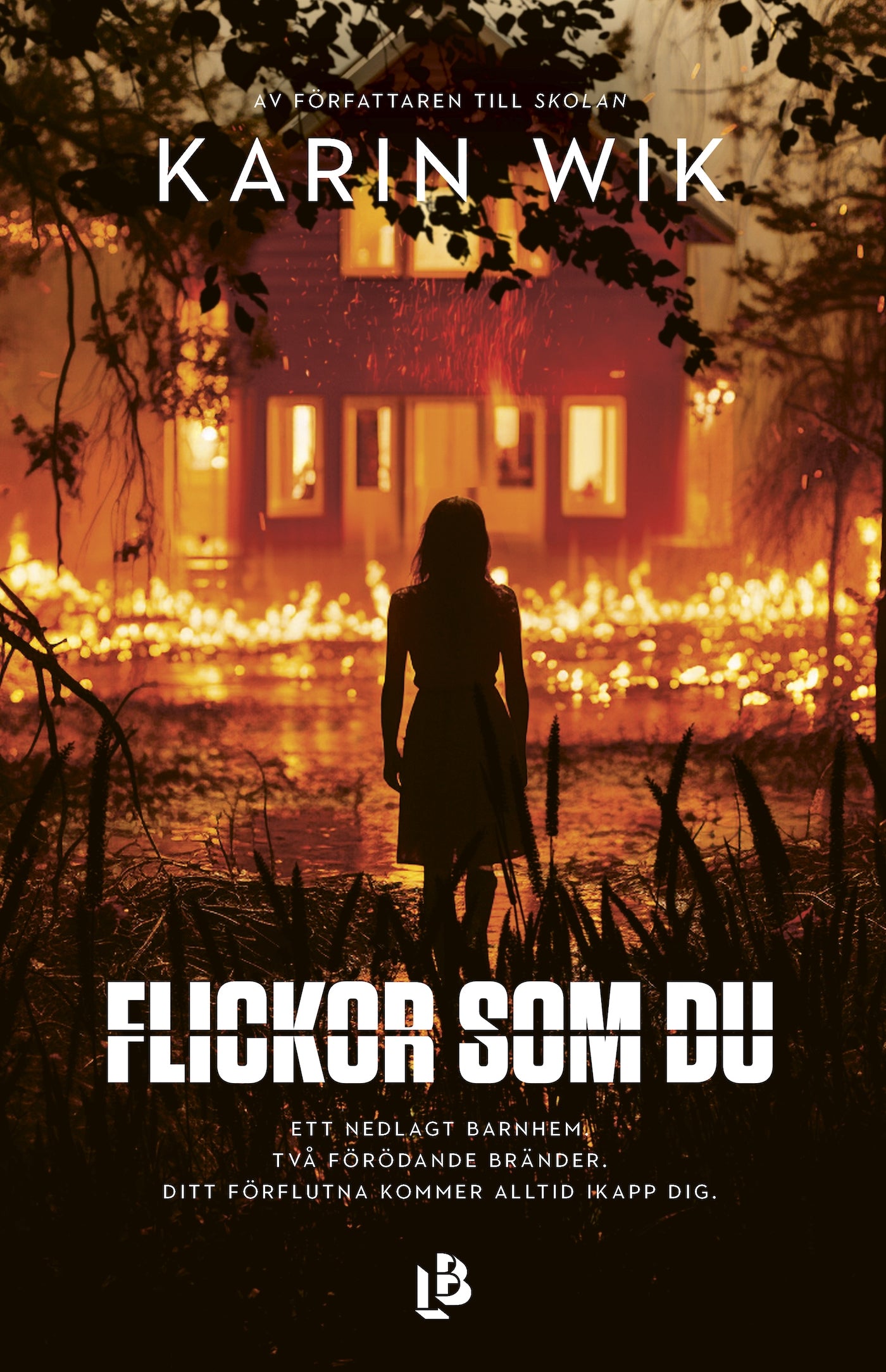 Flickor som du – E-bok