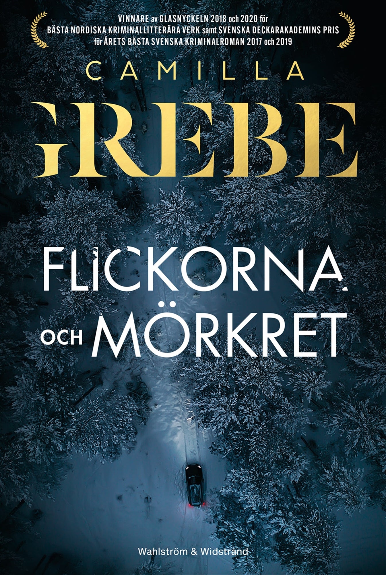 Flickorna och Mörkret – E-bok