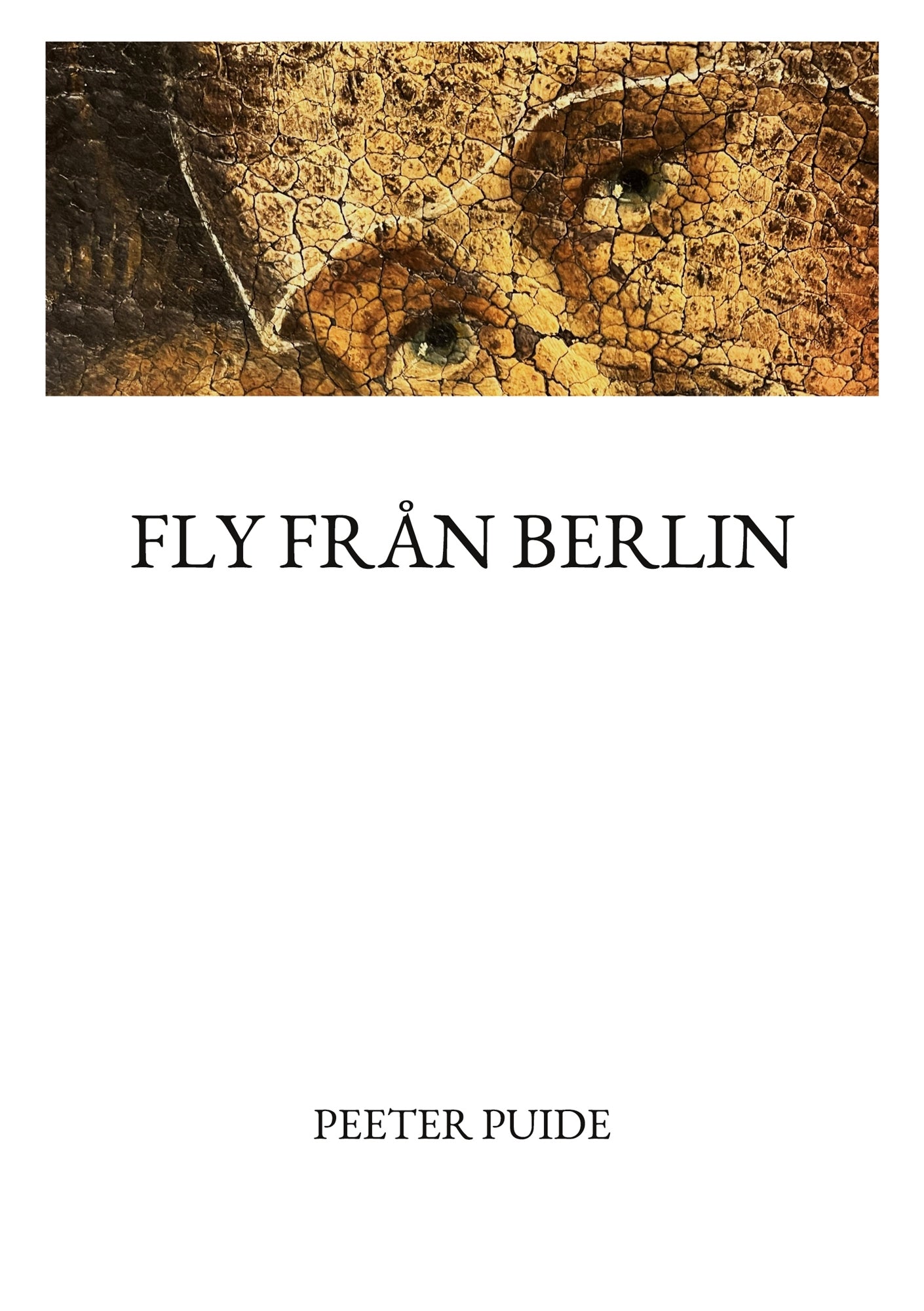 Fly från Berlin – E-bok