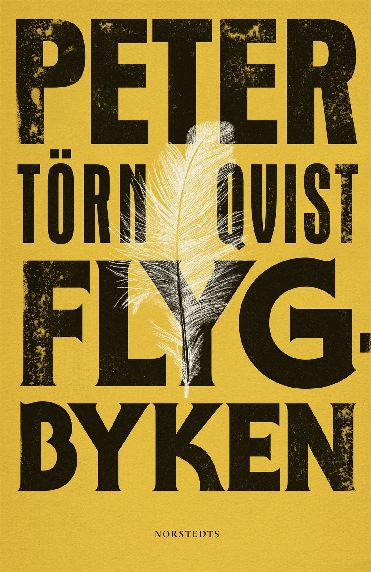 Flygbyken : och 83 andra lämningar – E-bok