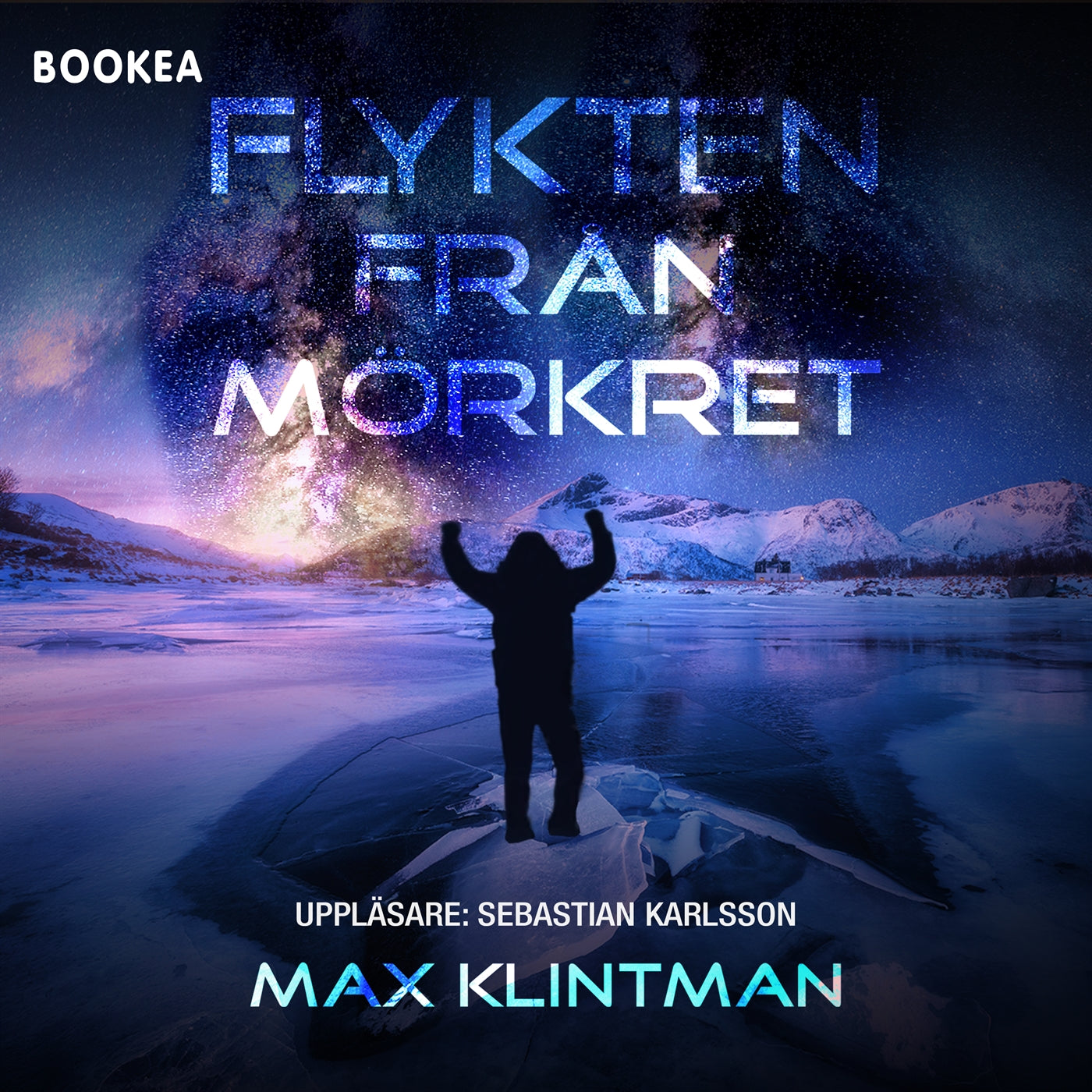 Flykten från mörkret – Ljudbok