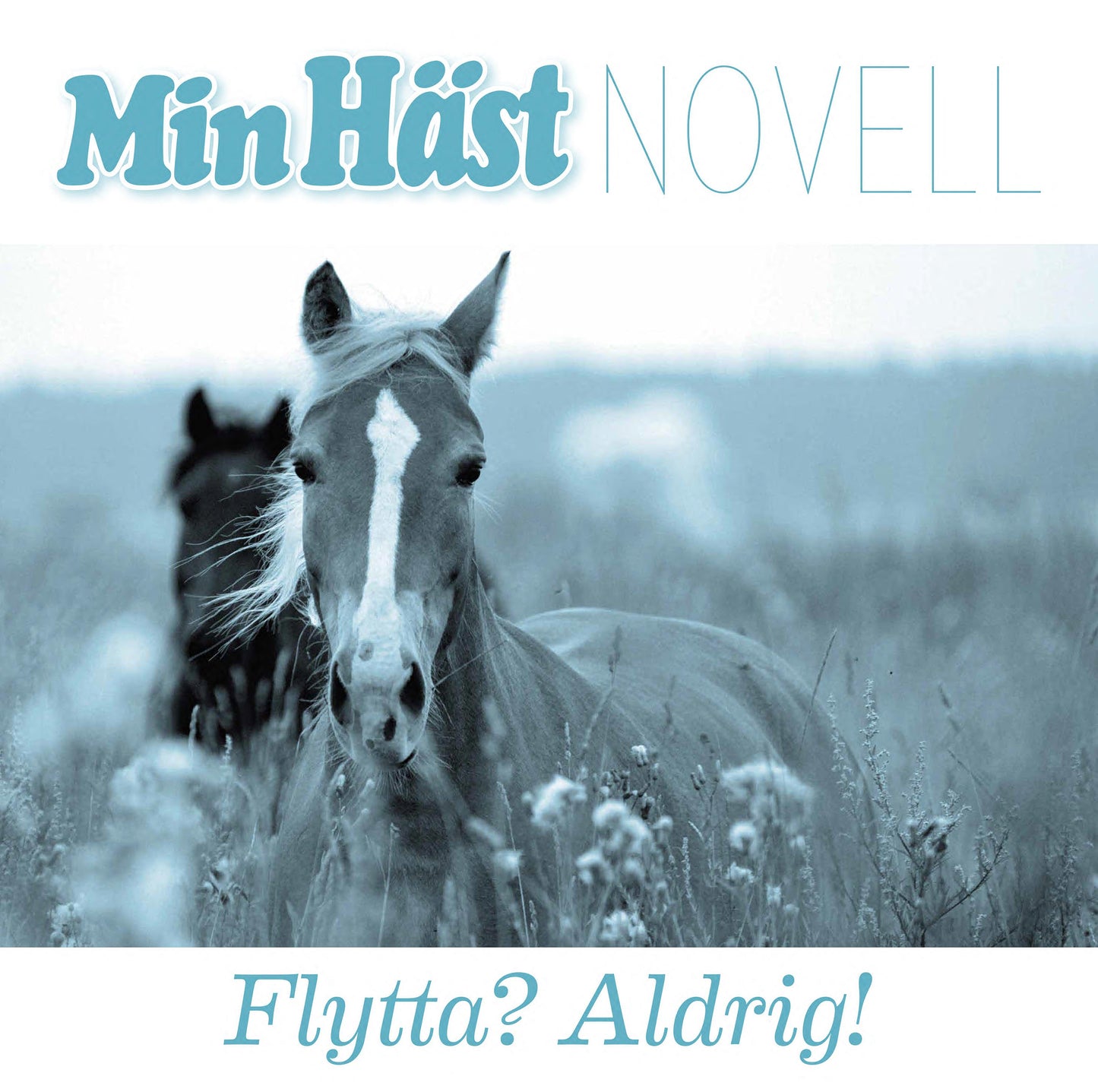 Flytta? Aldrig! – Ljudbok