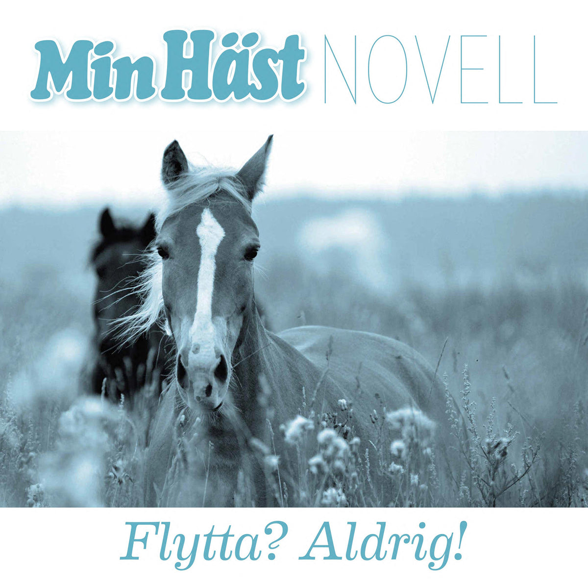 Flytta? Aldrig! – Ljudbok