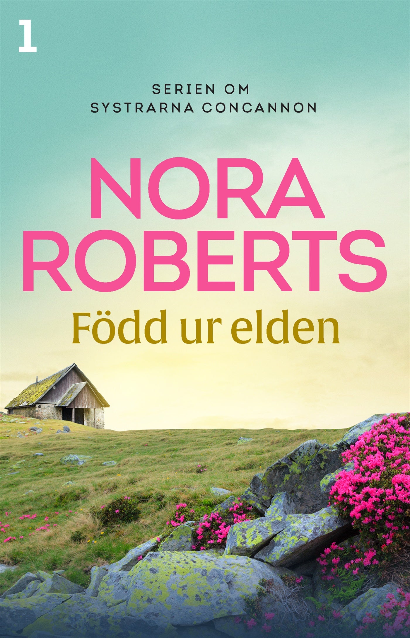 Född ur elden – E-bok