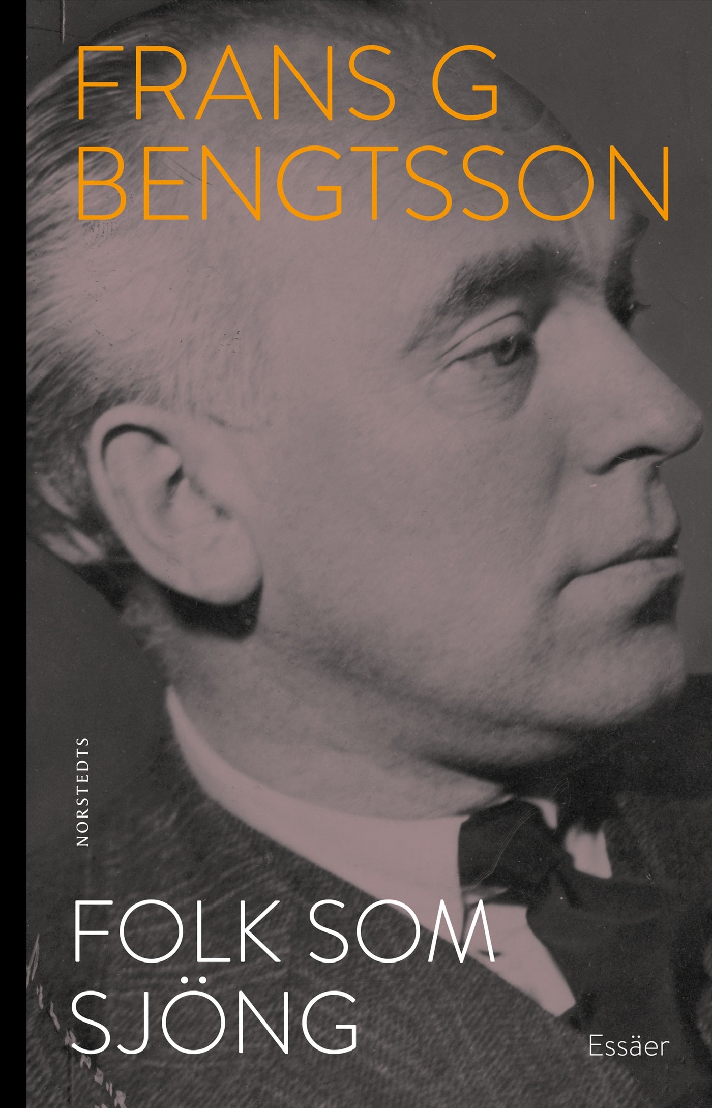 Folk som sjöng – E-bok