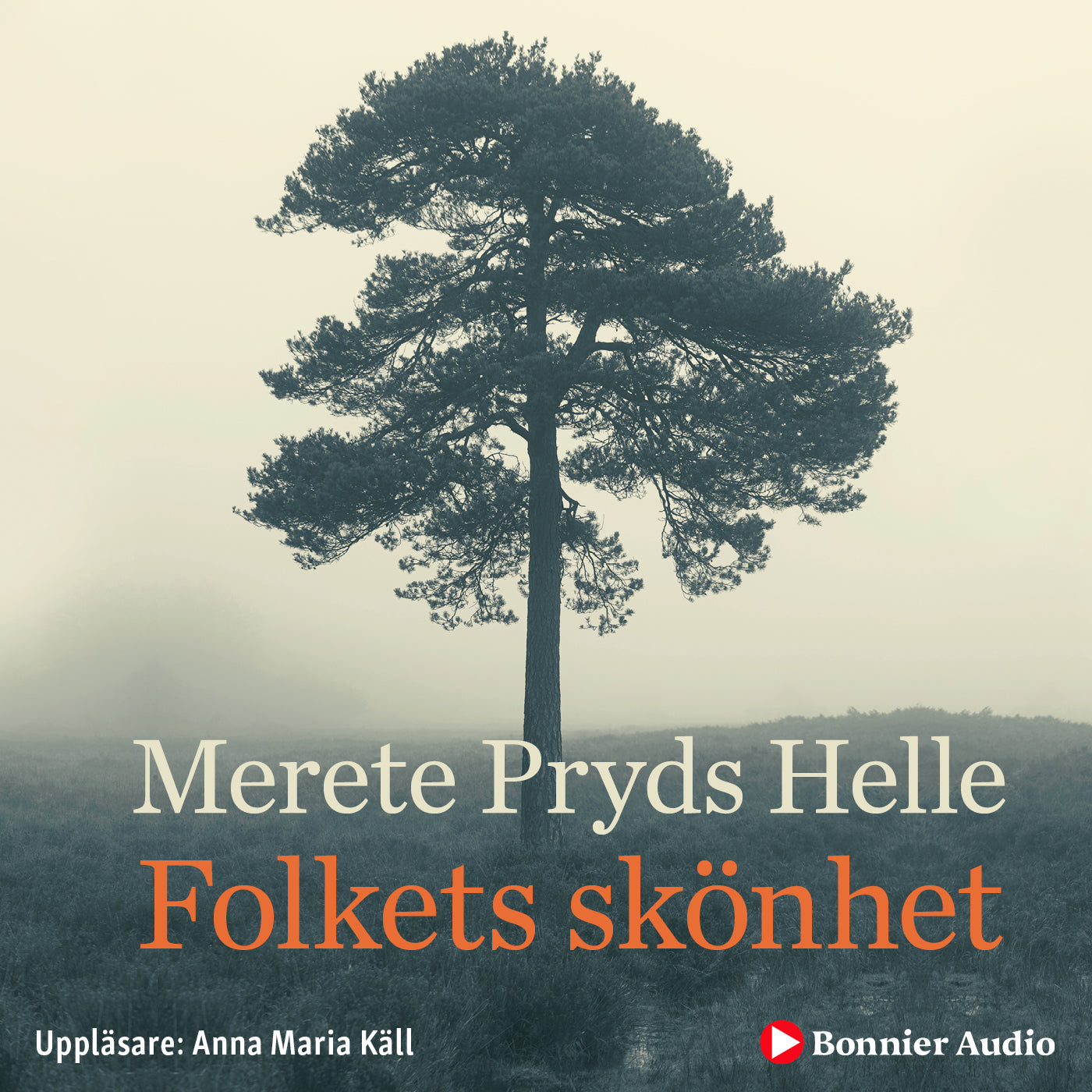 Folkets skönhet – Ljudbok