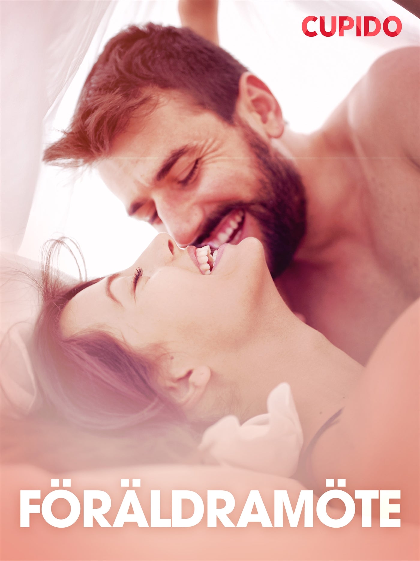 Föräldramöte - erotiska noveller – E-bok