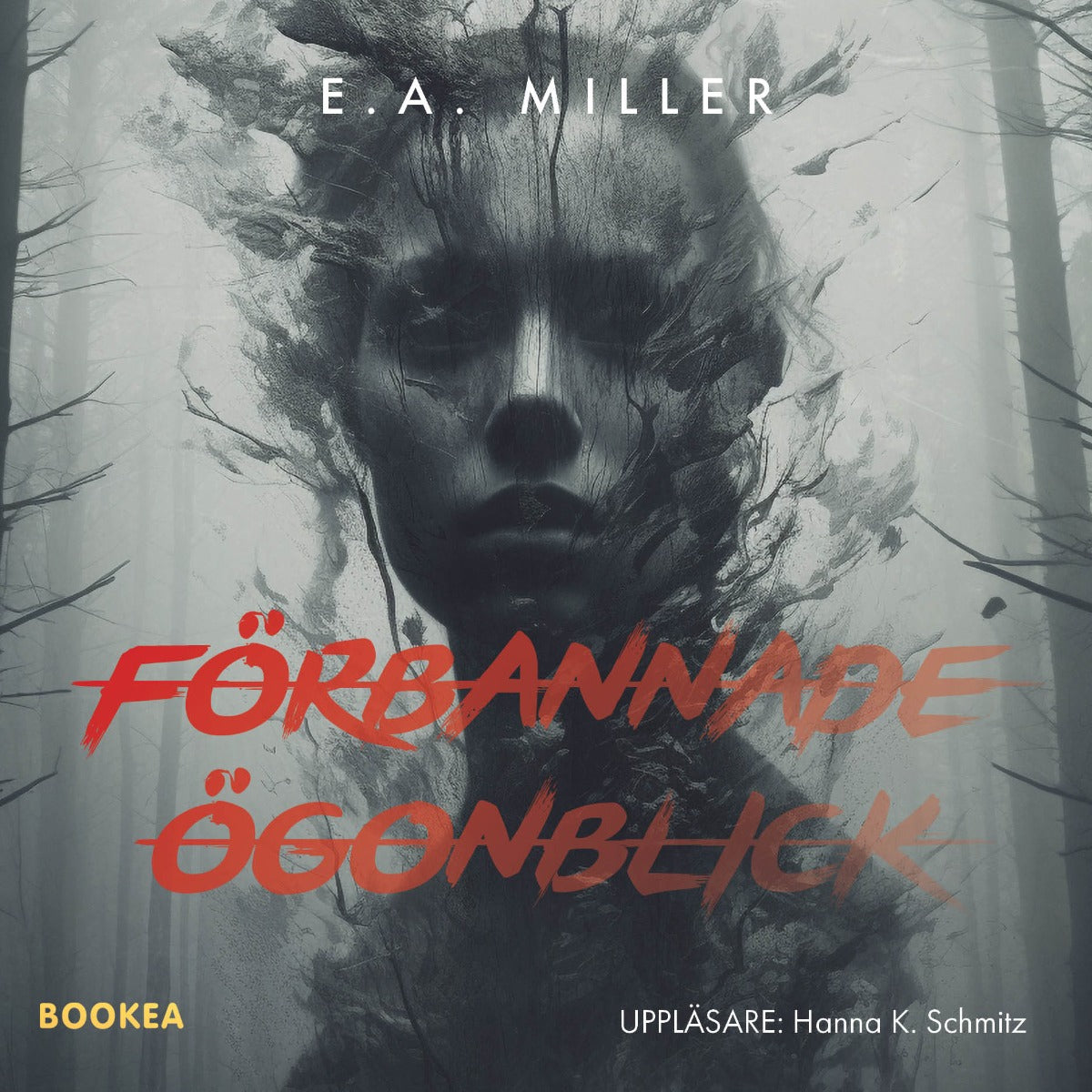 Förbannade ögonblick – Ljudbok