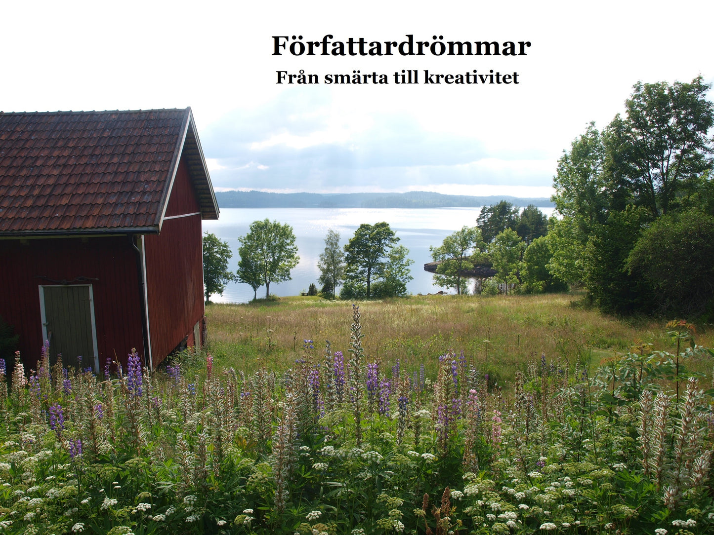 Författardrömmar: Från smärta till kreativitet – E-bok