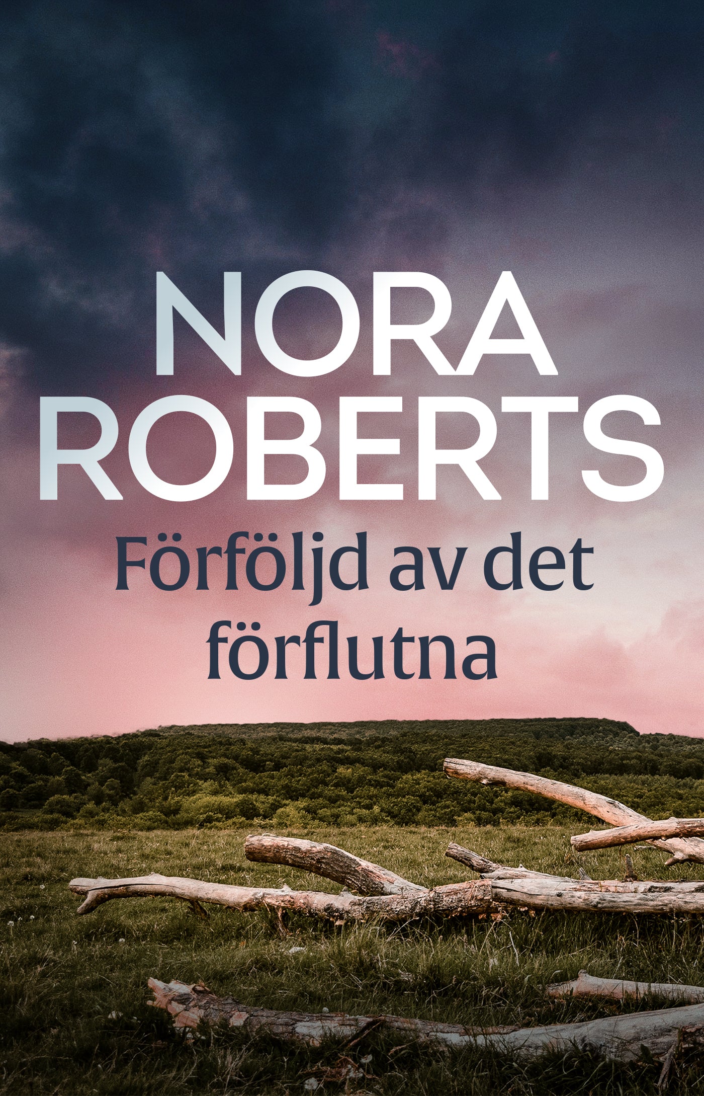 Förföljd av det förflutna – E-bok