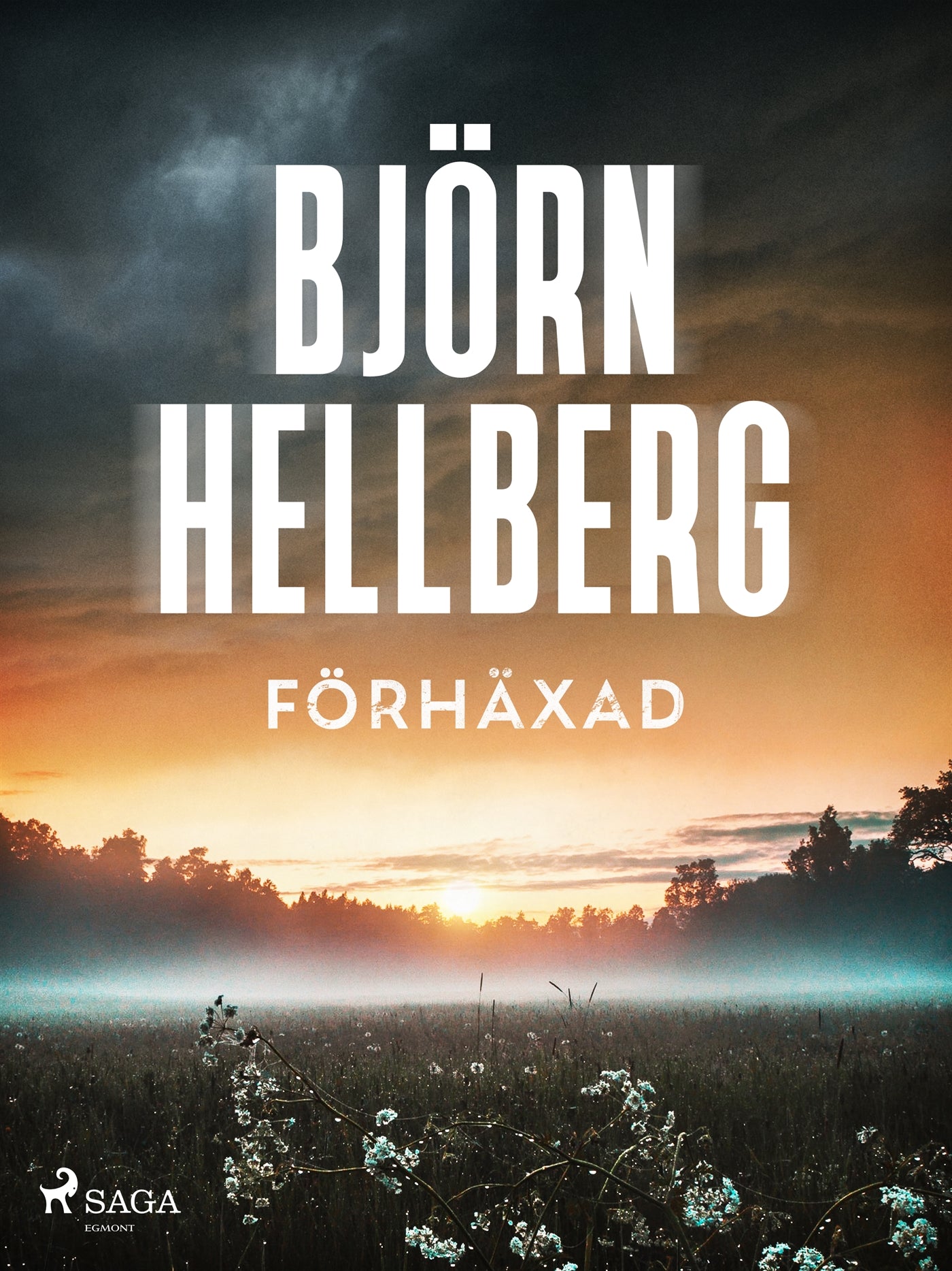 Förhäxad – E-bok