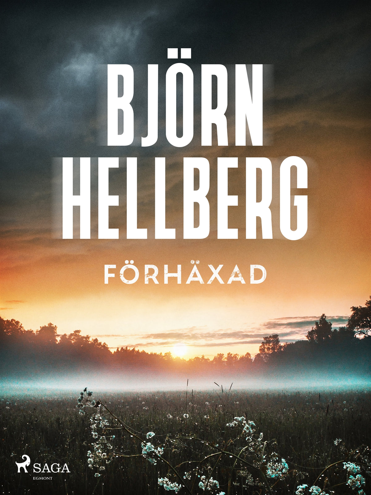 Förhäxad – E-bok