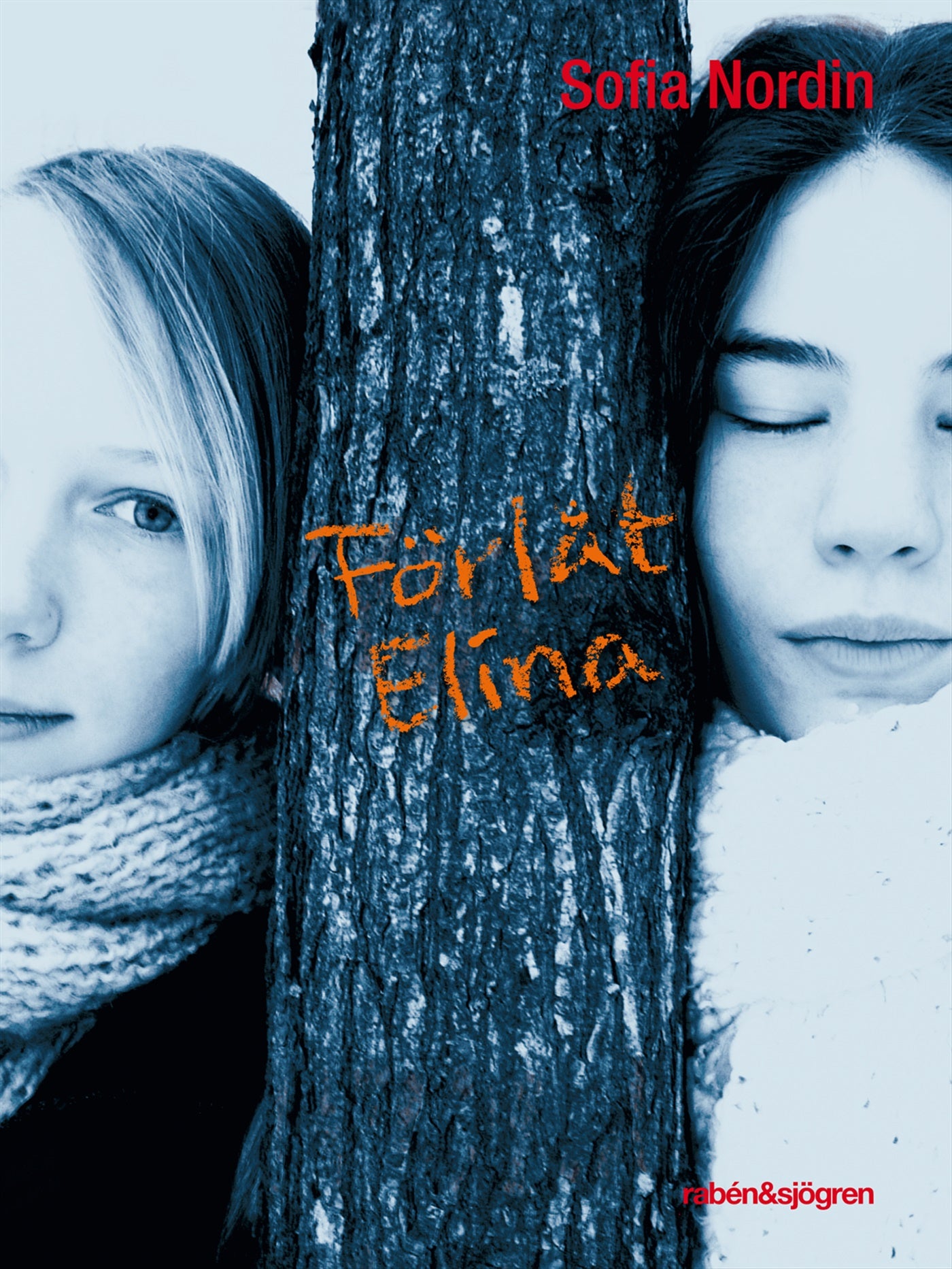 Förlåt Elina – E-bok